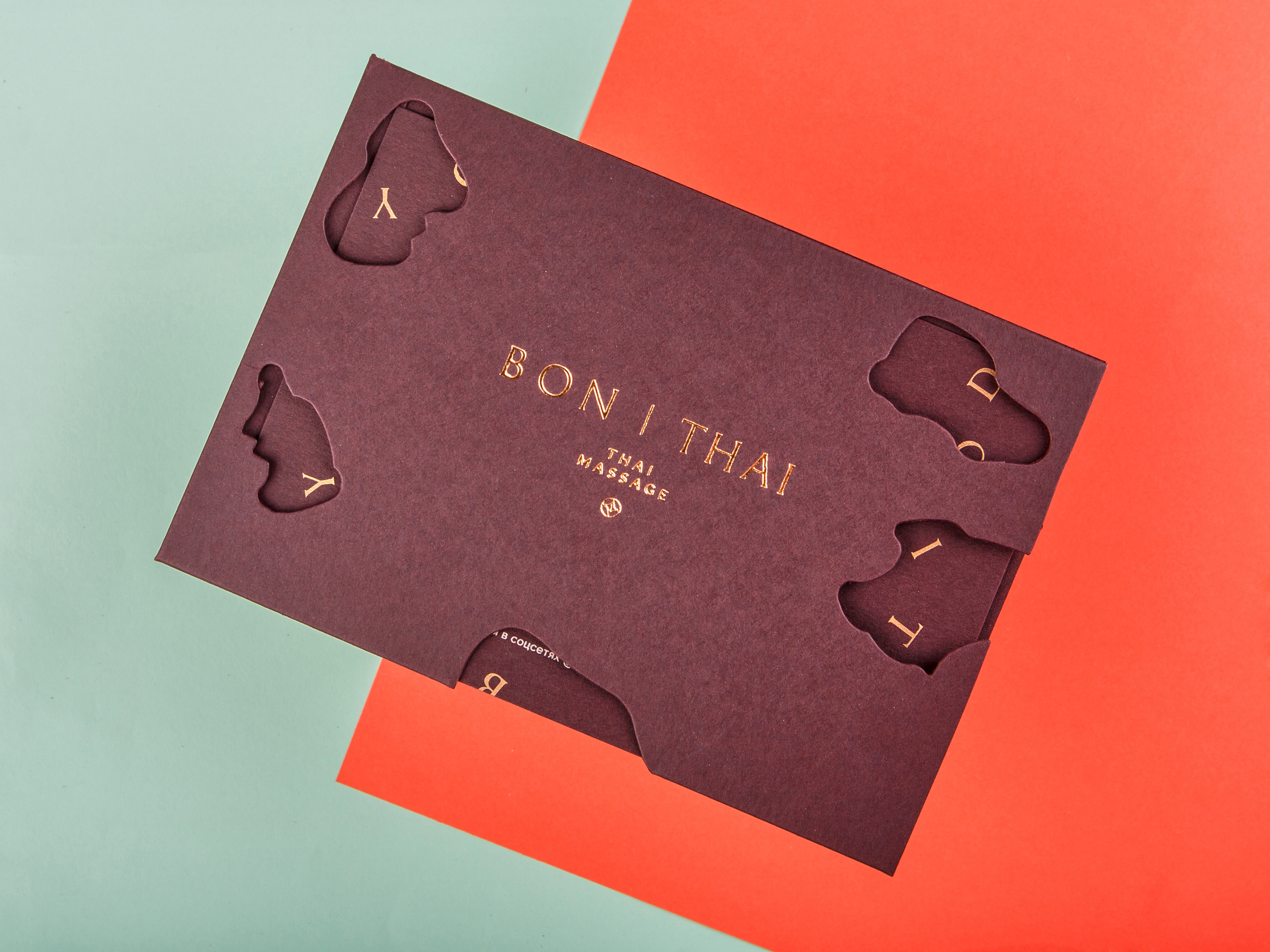 Типография Алес. Предметный и семейный фотограф в Санкт-Петербурге Катерина Стеклова