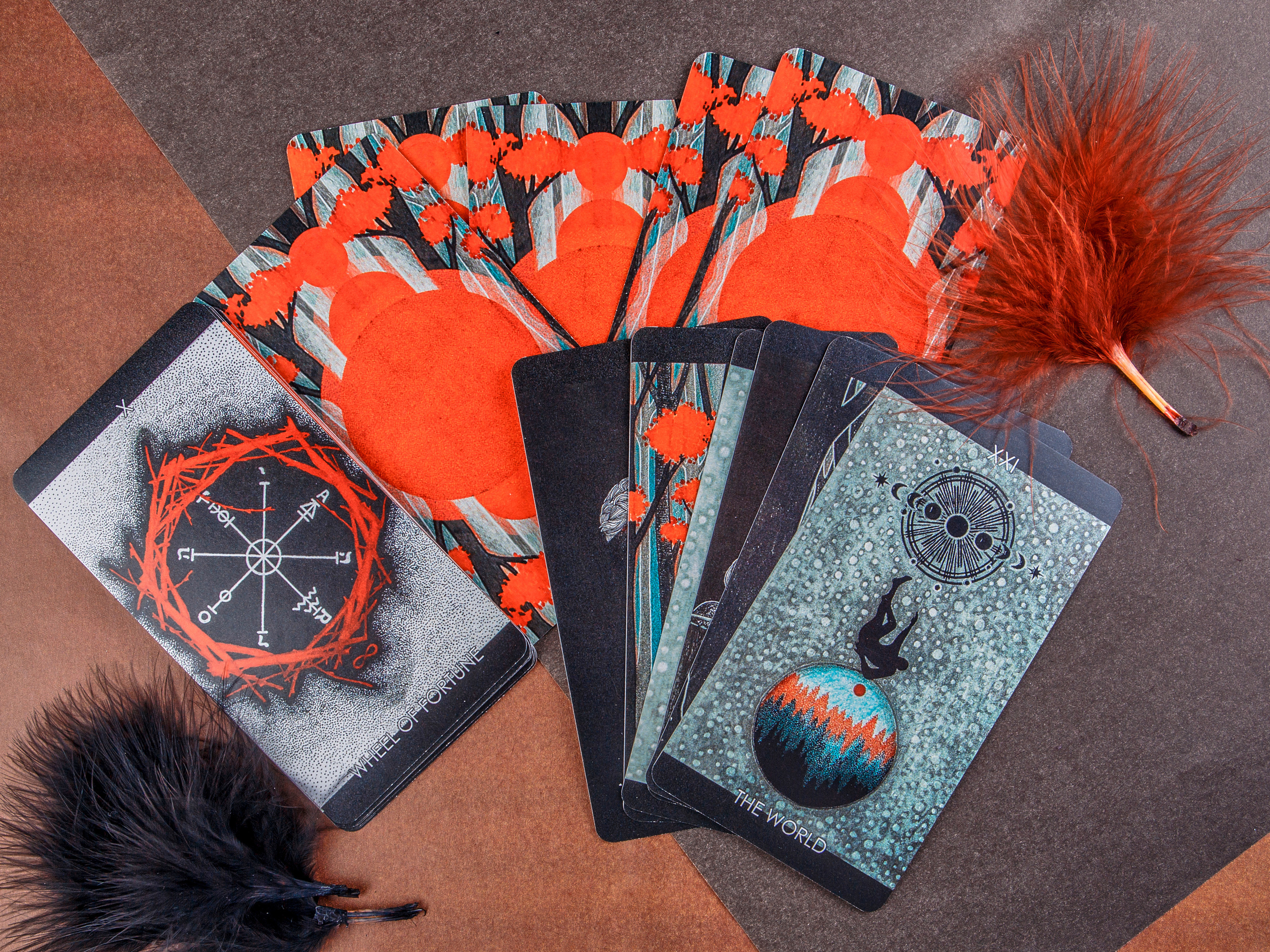 Типография Алес. Предметный и семейный фотограф в Санкт-Петербурге Катерина Стеклова