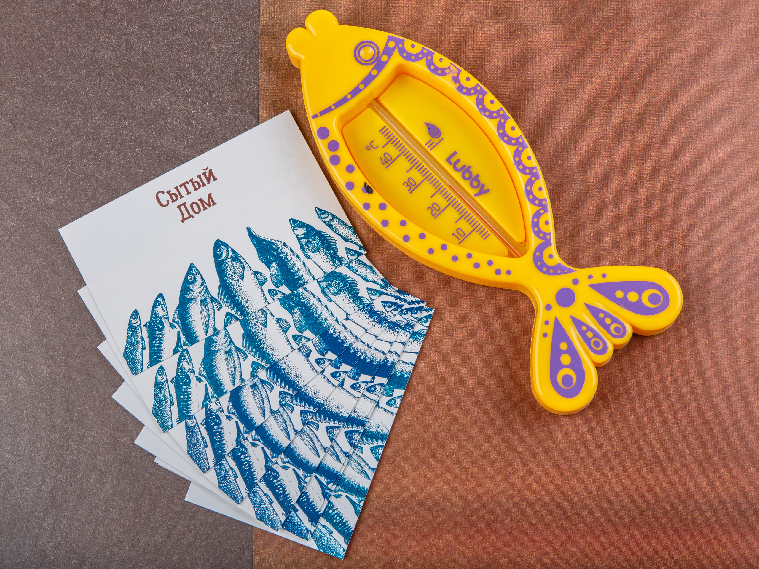 Типография Алес. Предметный и семейный фотограф в Санкт-Петербурге Катерина Стеклова