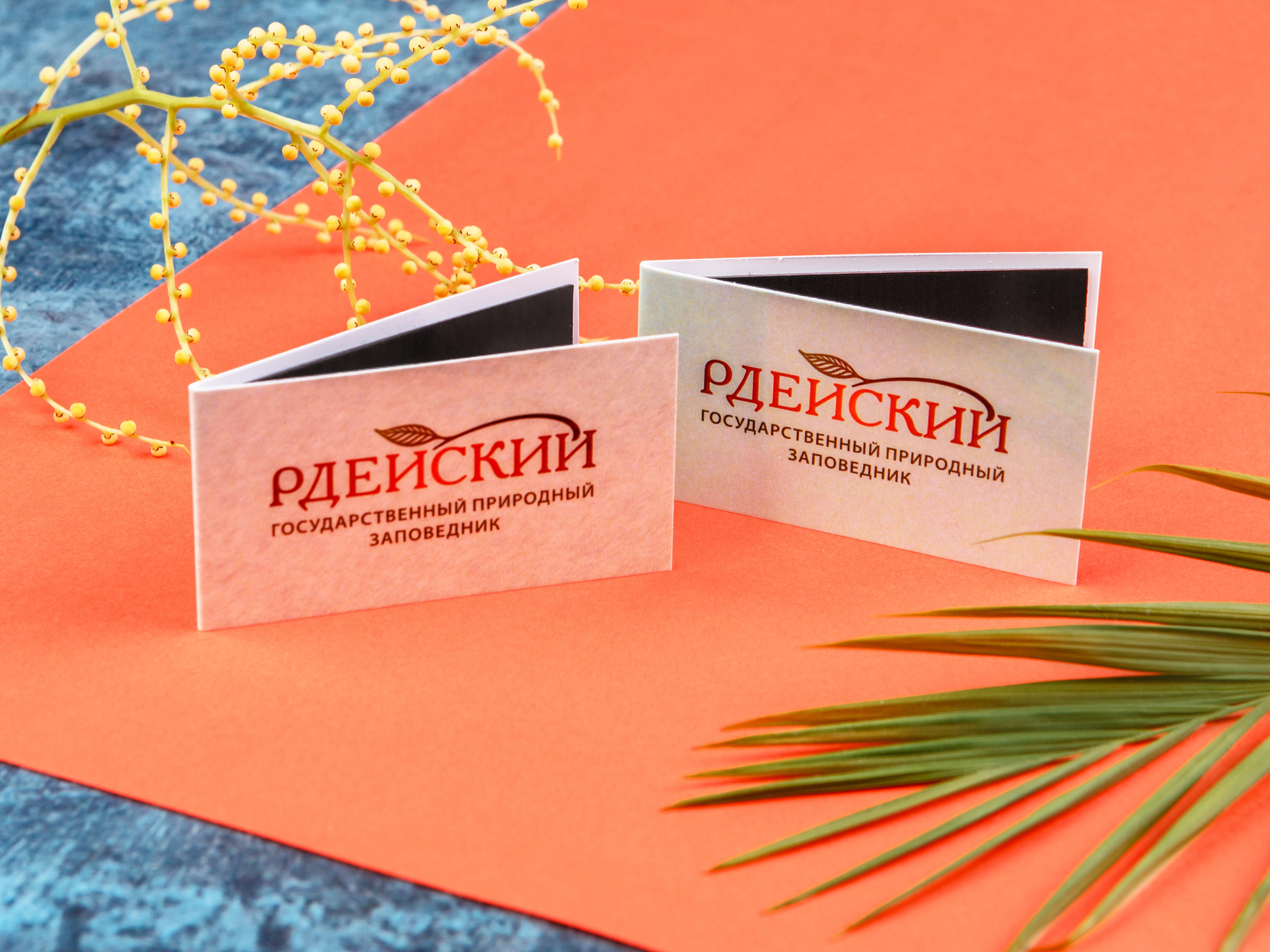 Типография Алес. Предметный и семейный фотограф в Санкт-Петербурге Катерина Стеклова