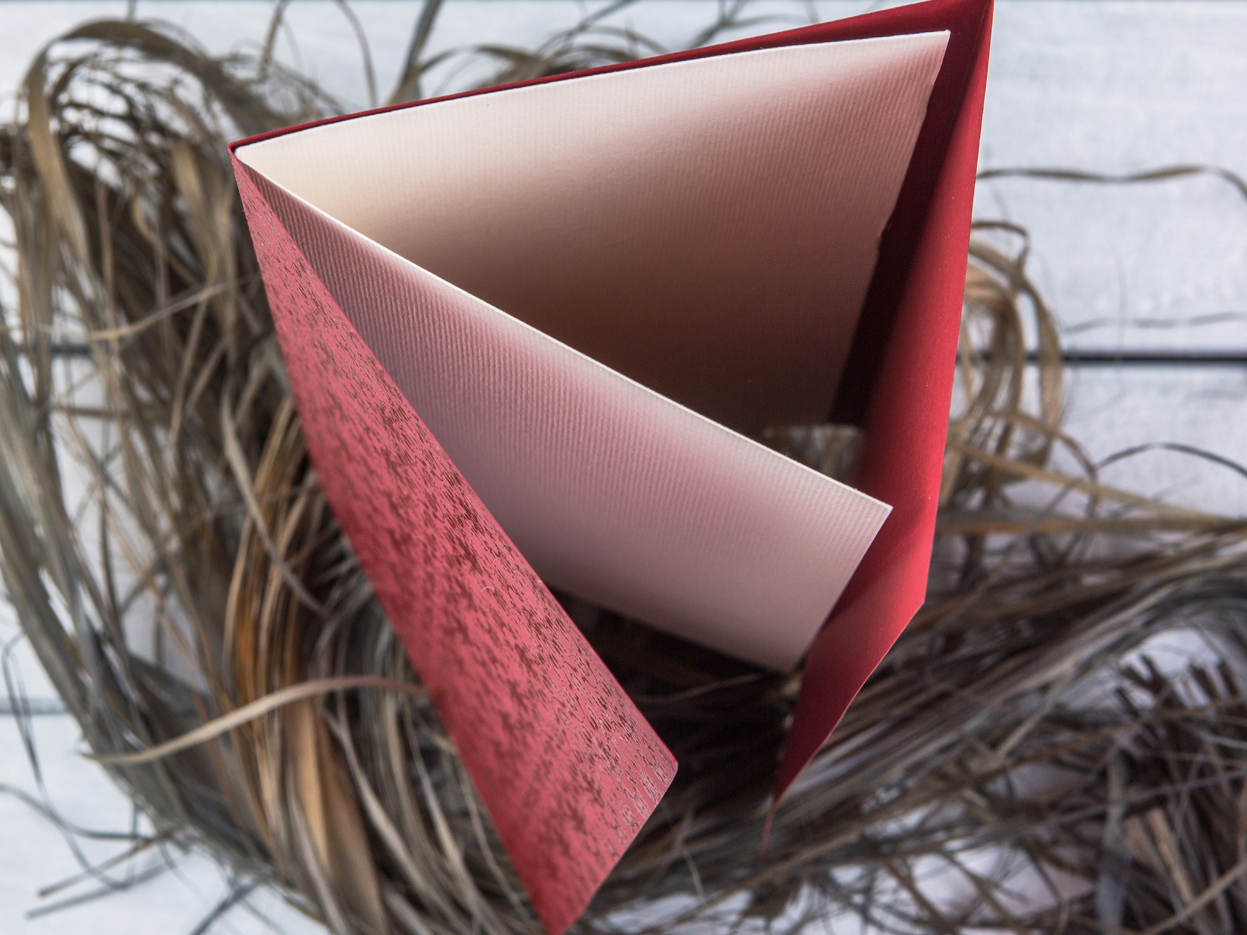 Типография Алес. Предметный и семейный фотограф в Санкт-Петербурге Катерина Стеклова