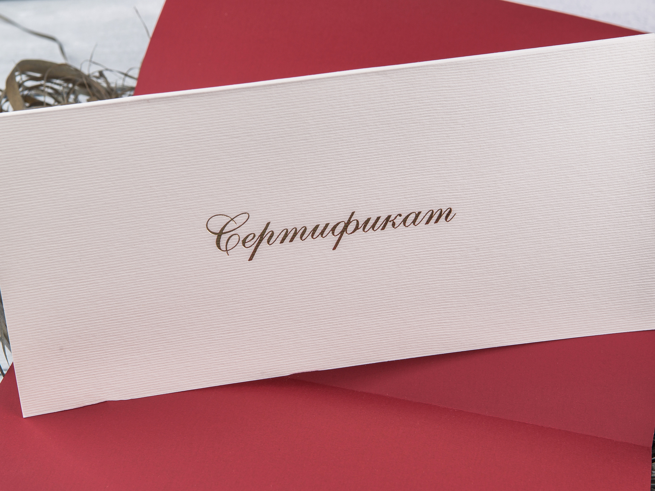 Типография Алес. Предметный и семейный фотограф в Санкт-Петербурге Катерина Стеклова