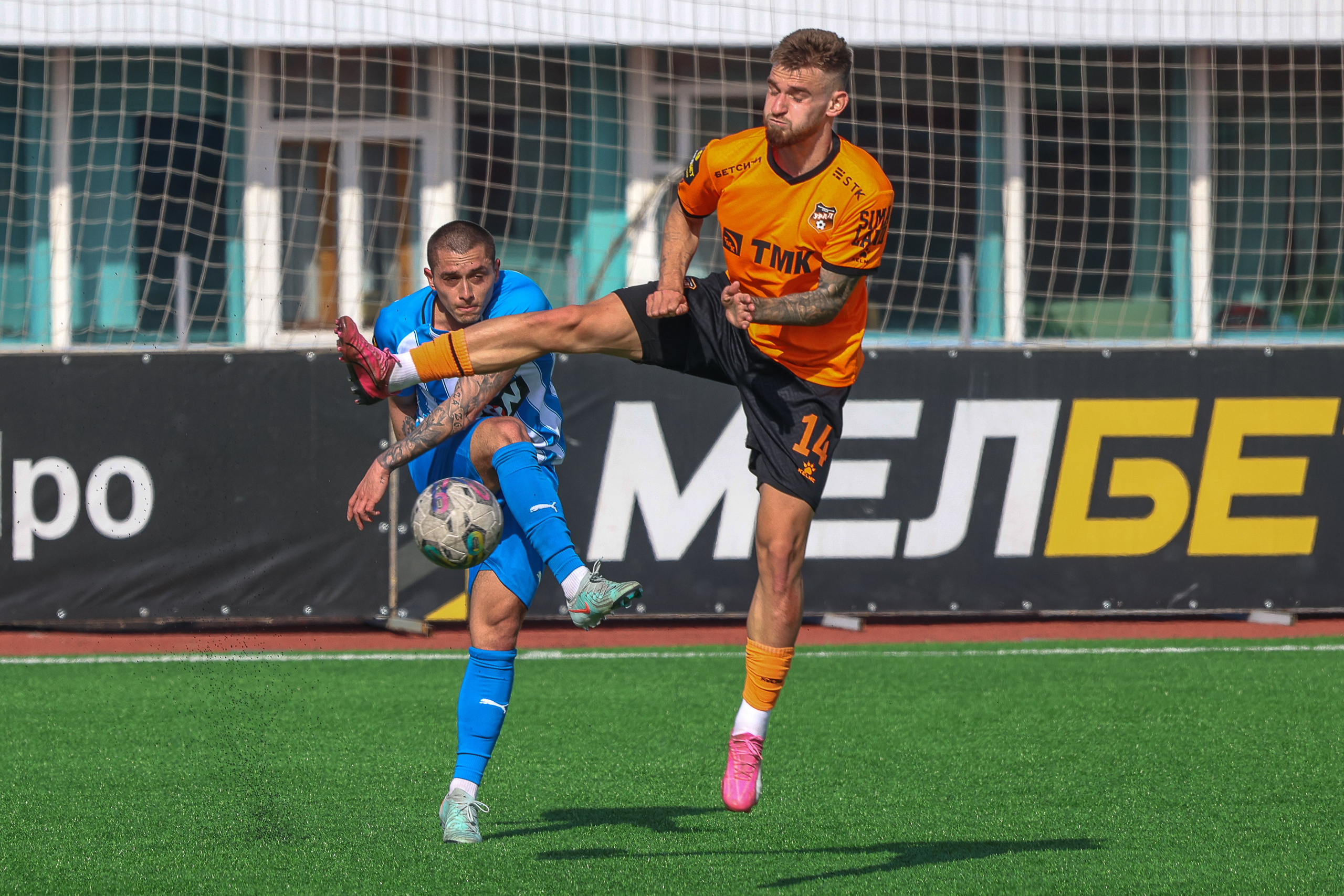 Сокол. ФНЛ. Фотограф Дмитрий Алексеев