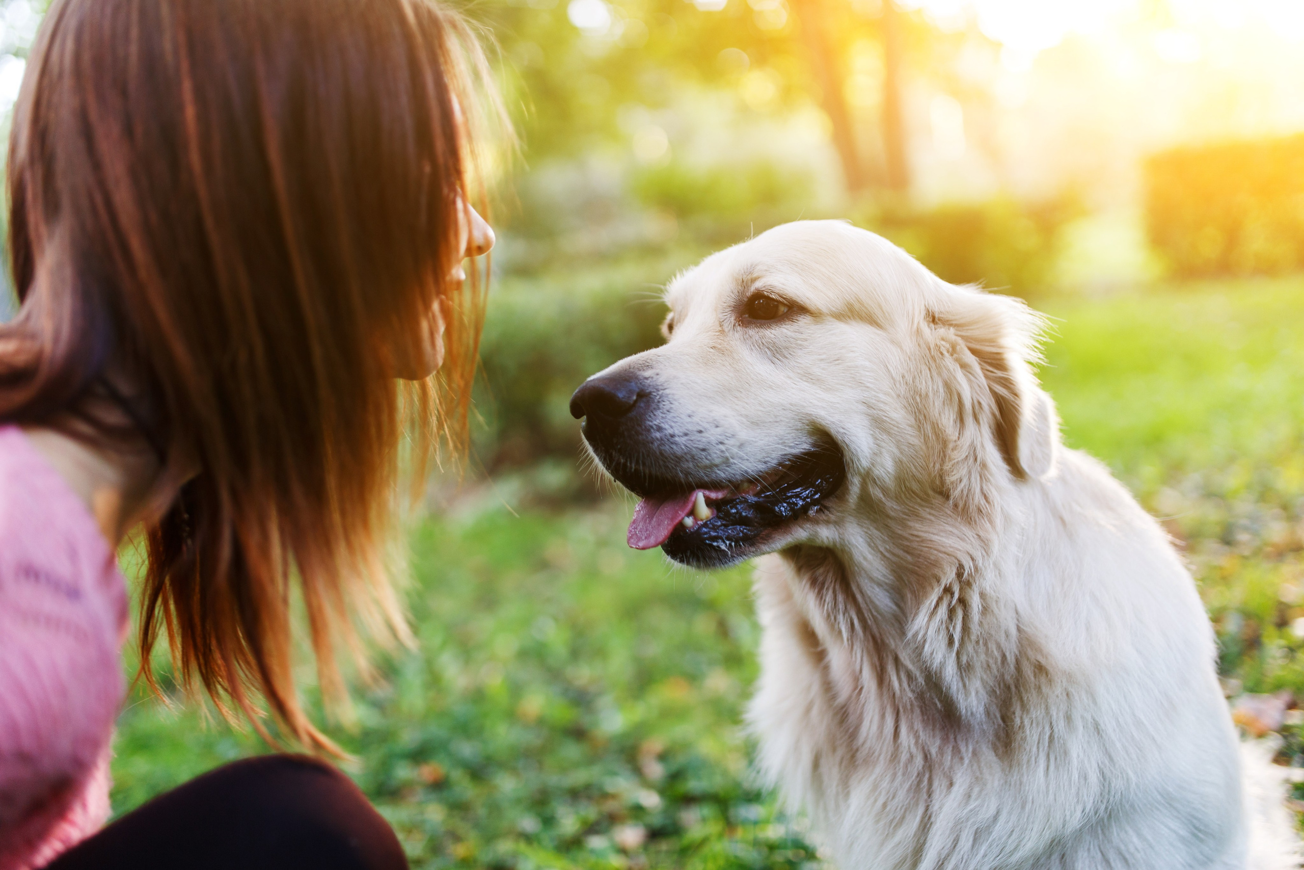 20. Фотограф Недорез Александр в Москве. Репортаж на ваших мероприятиях