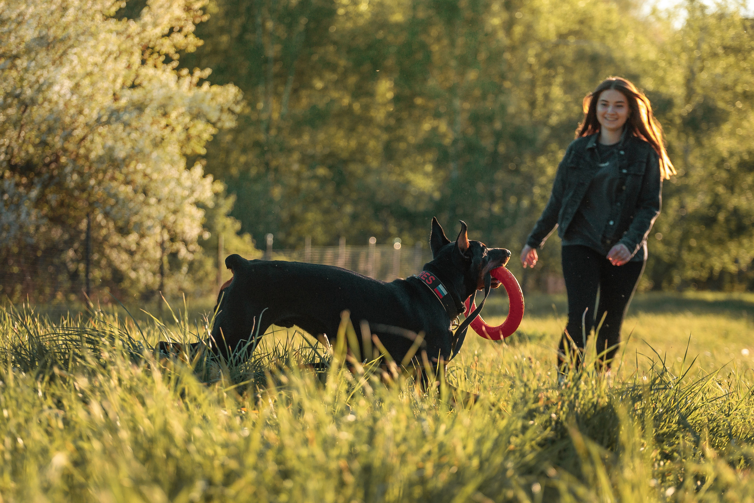 Юля, Андрей и Арес. Фотограф-анималист Анастасия Парфенова|Екатеринбург