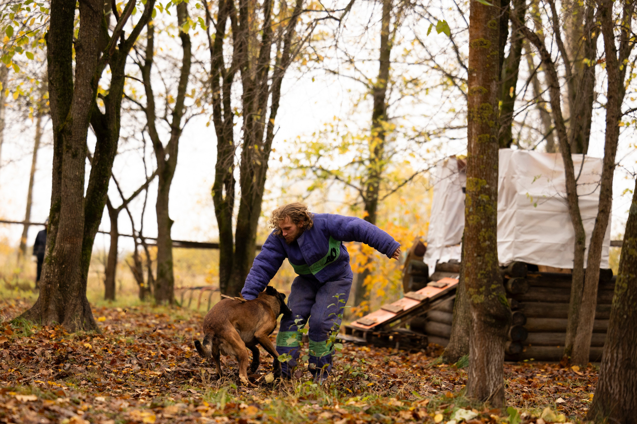 Соревнования по Мондьорингу г. Вологда. Фотограф-анималист Анна Маринич