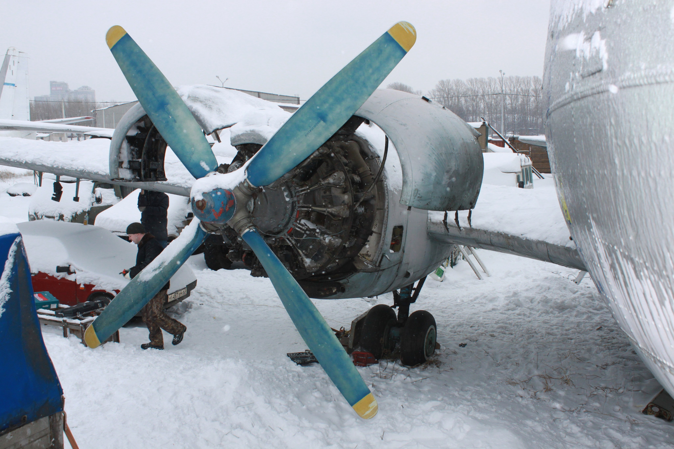 Ил-14Т «Голубая Мечта» работы в Тушино (2011 г.). Фотоальбом показывающий увлекательный мир авиации и мир медведей Андрея Иванова
