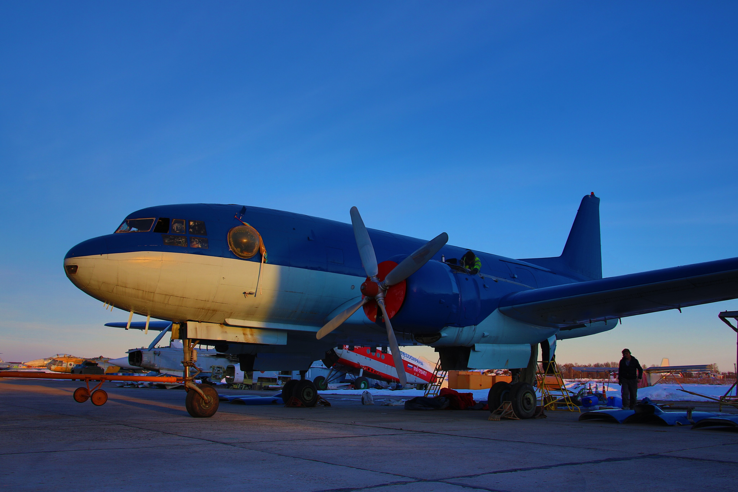 Ил-14Т «Голубая Мечта» (2026 г.). Фотоальбом показывающий увлекательный мир авиации и мир медведей Андрея Иванова