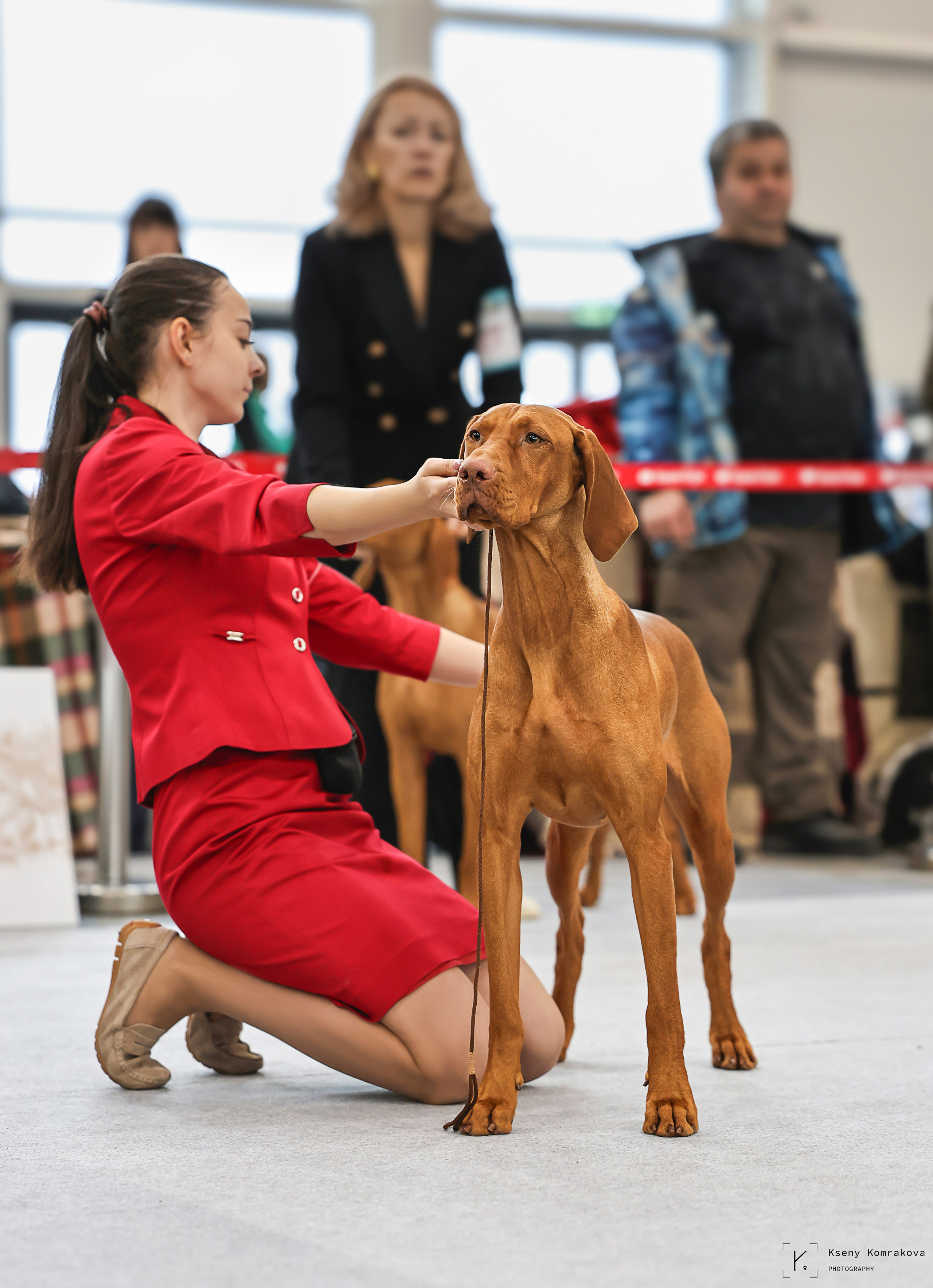 Съемка собак. Анималистика. Репортаж. Индивидуальная съемка