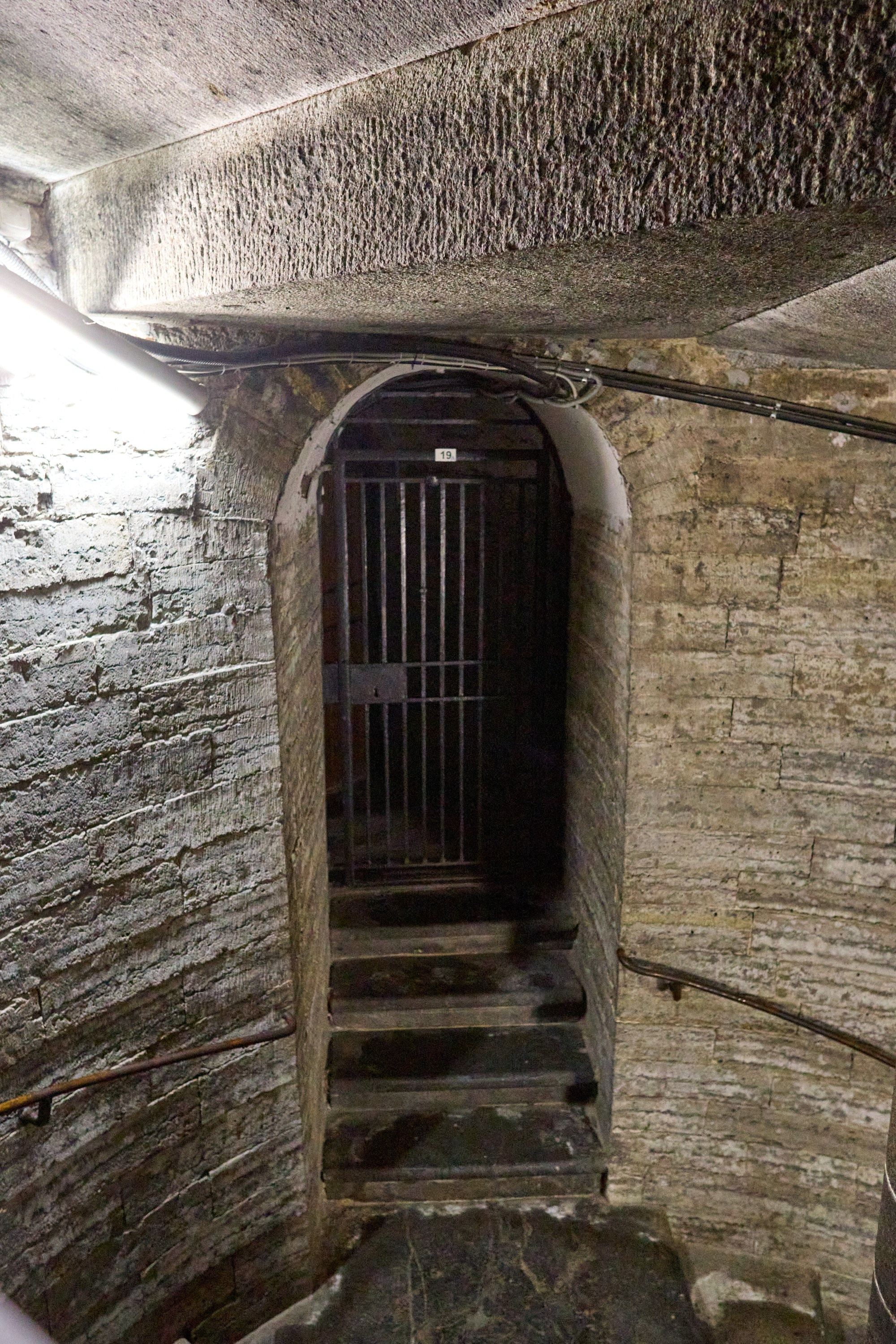 Рождество въ Санктъ-Петербургѣ. Фотографъ Сергѣевъ. Поймать мгновеніе