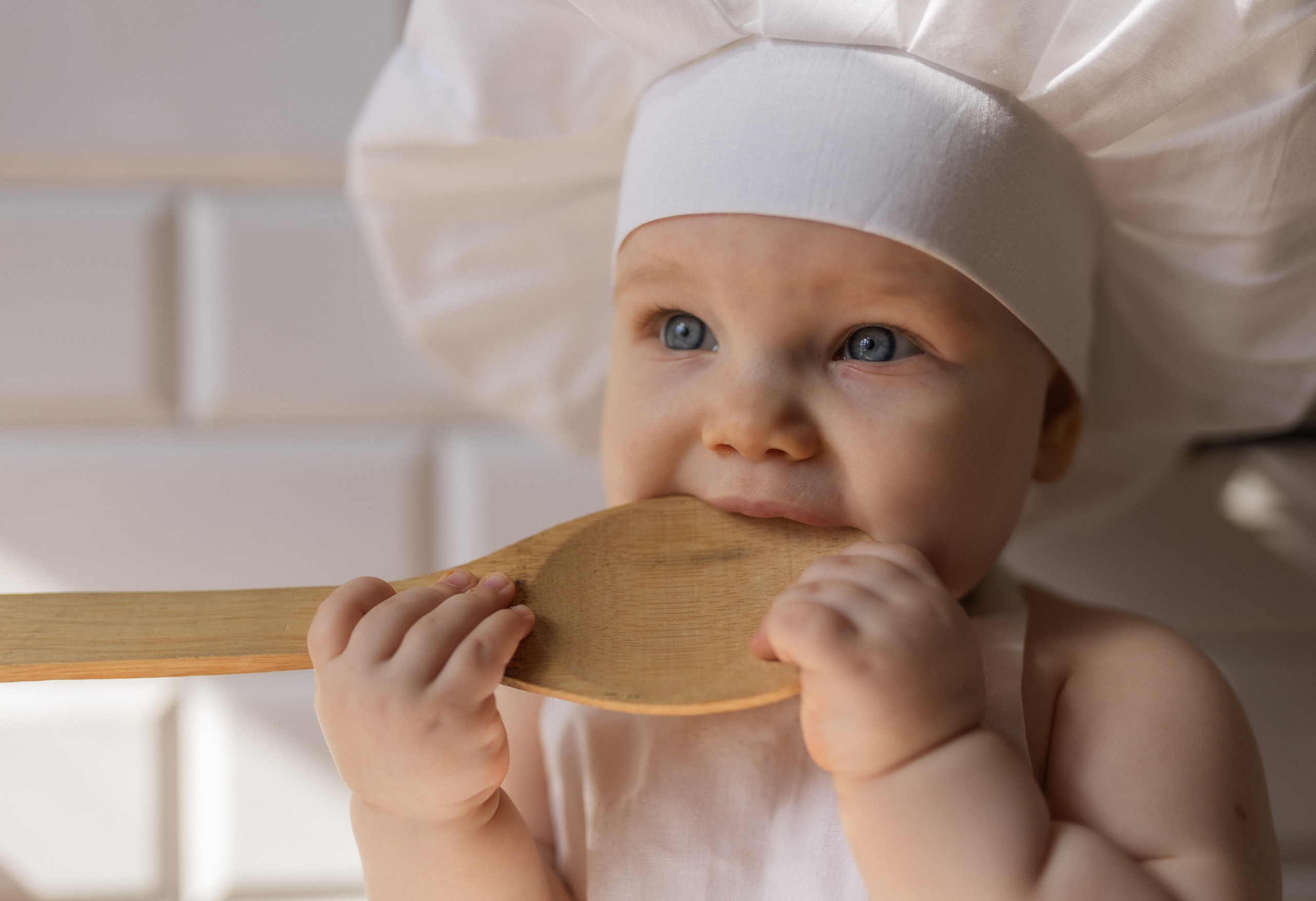 Поварята. Фотограф в Нижнем Новгороде, Дзержинске Олеся Хозяева