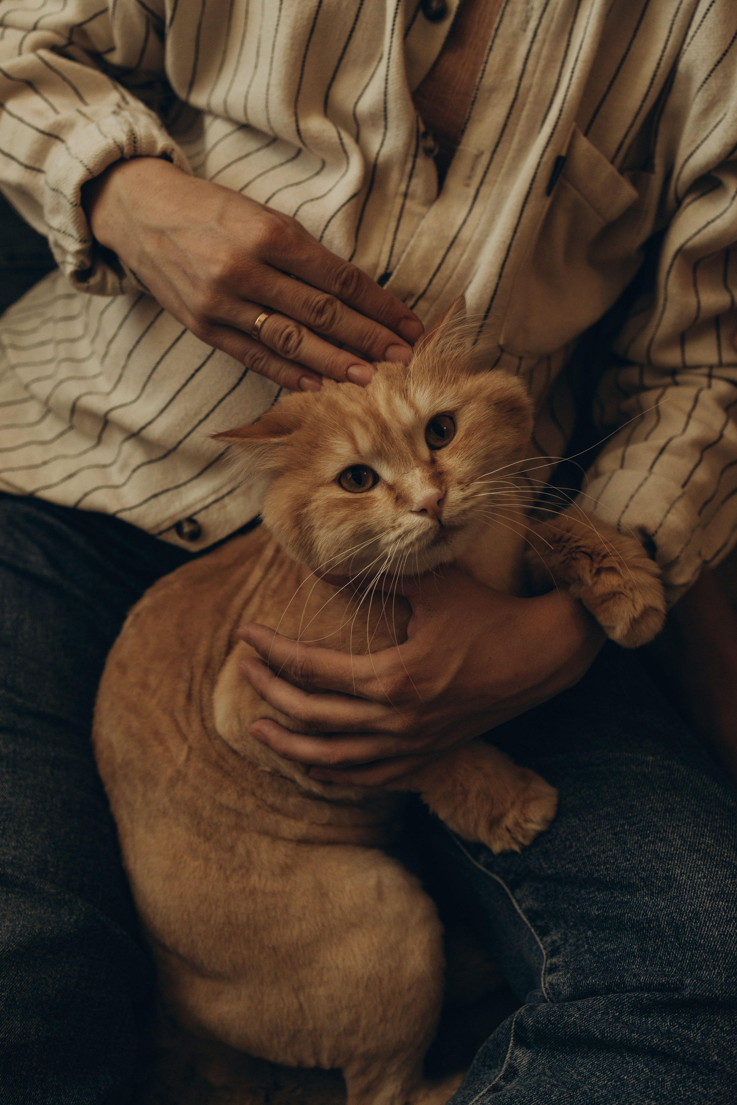 История для Ксюши и Паши. Семейный и свадебный фотограф в Чите Мария Авдеева