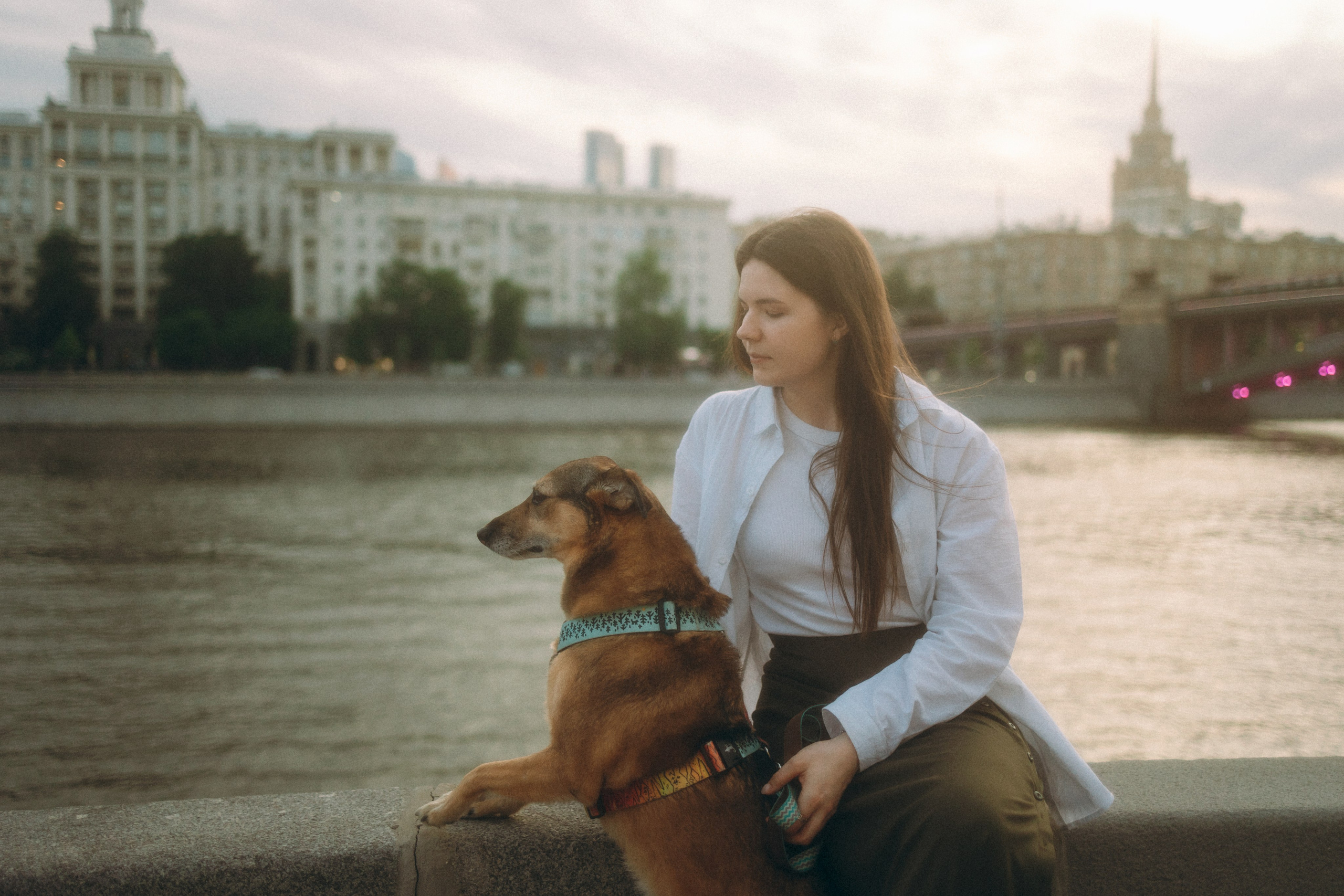 Глаша, Айрон, Ксюша и Оля. Фотограф анималист Анастасия Пикей