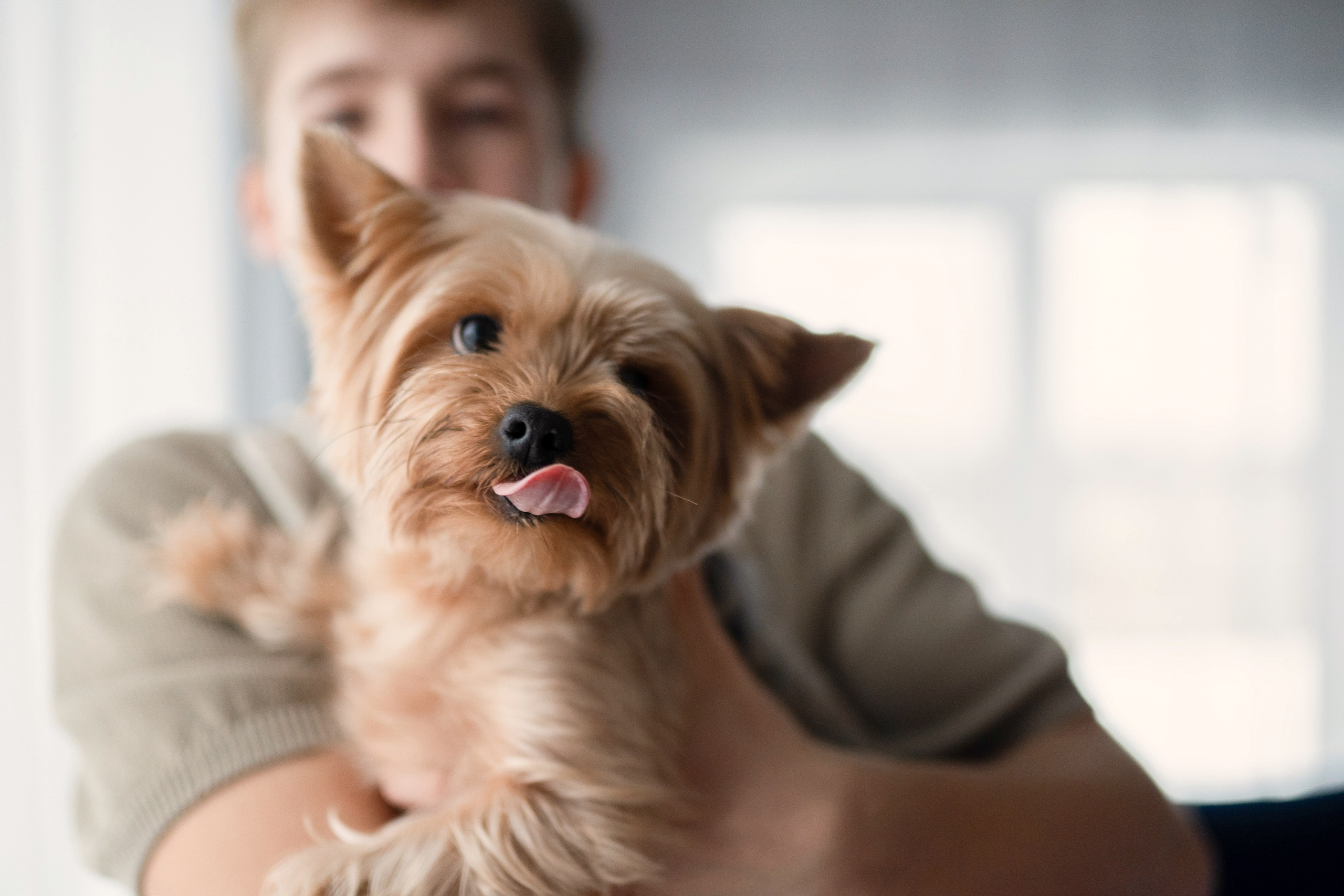 Домашняя фотосессия в Суздале. Семейный фотограф в Суздале Елена Кузнецова