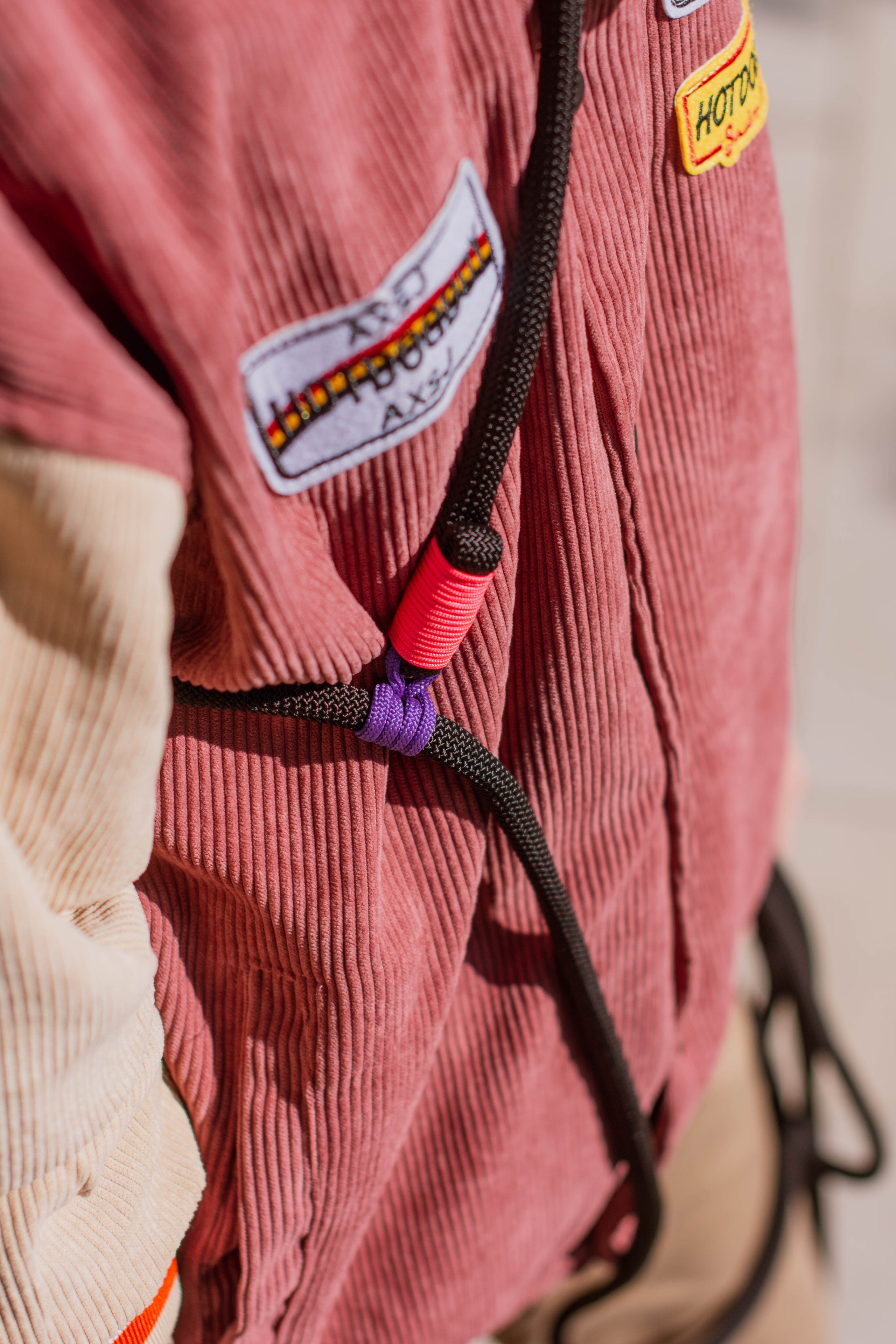 Фотосессия для бизнеса с собакой. Фотограф собак, анималист в Москве Кира Яковлева