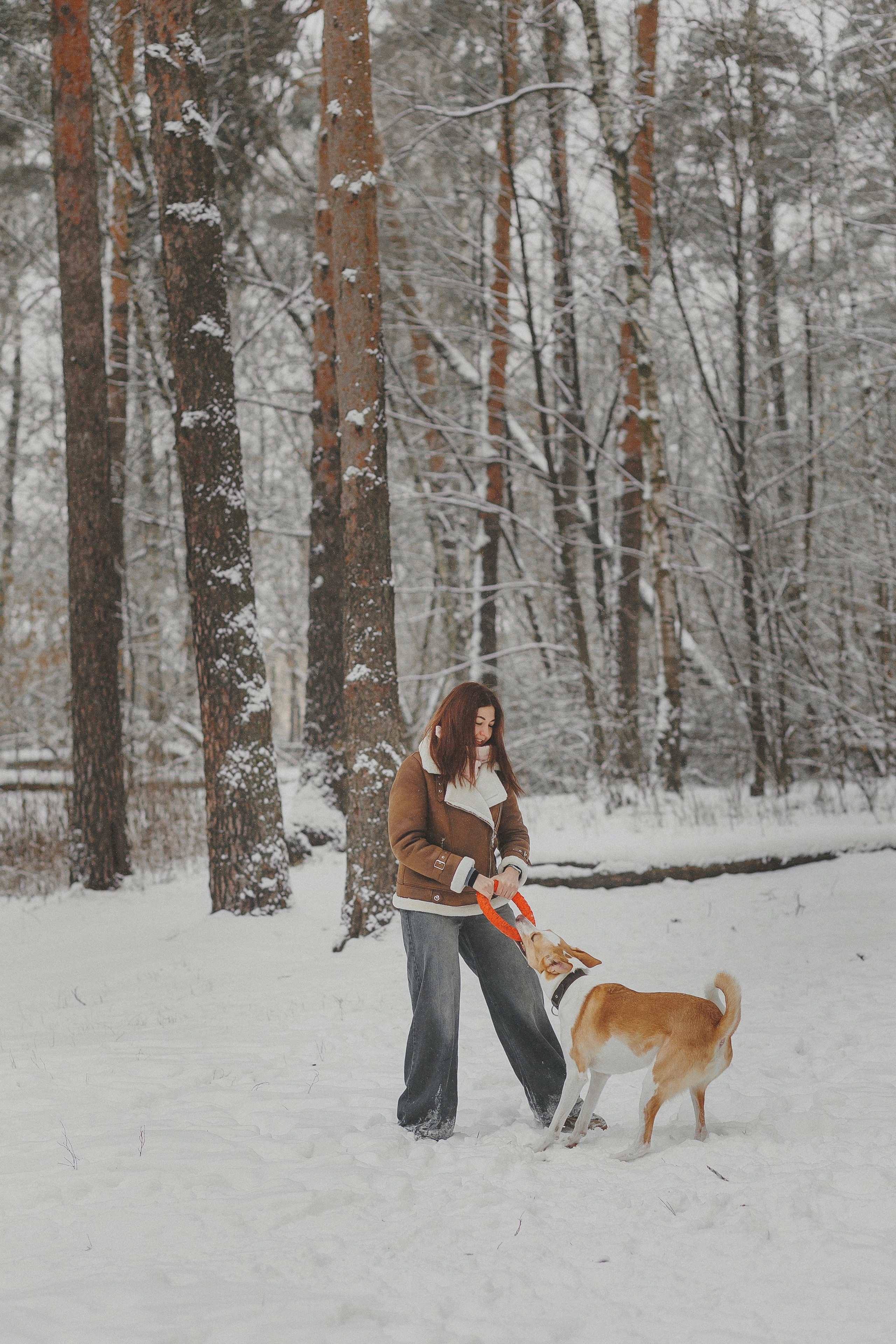 Зимняя фотосессия в лесу с собакой. Фотограф в Москве и Люберцах Анна Ушакова