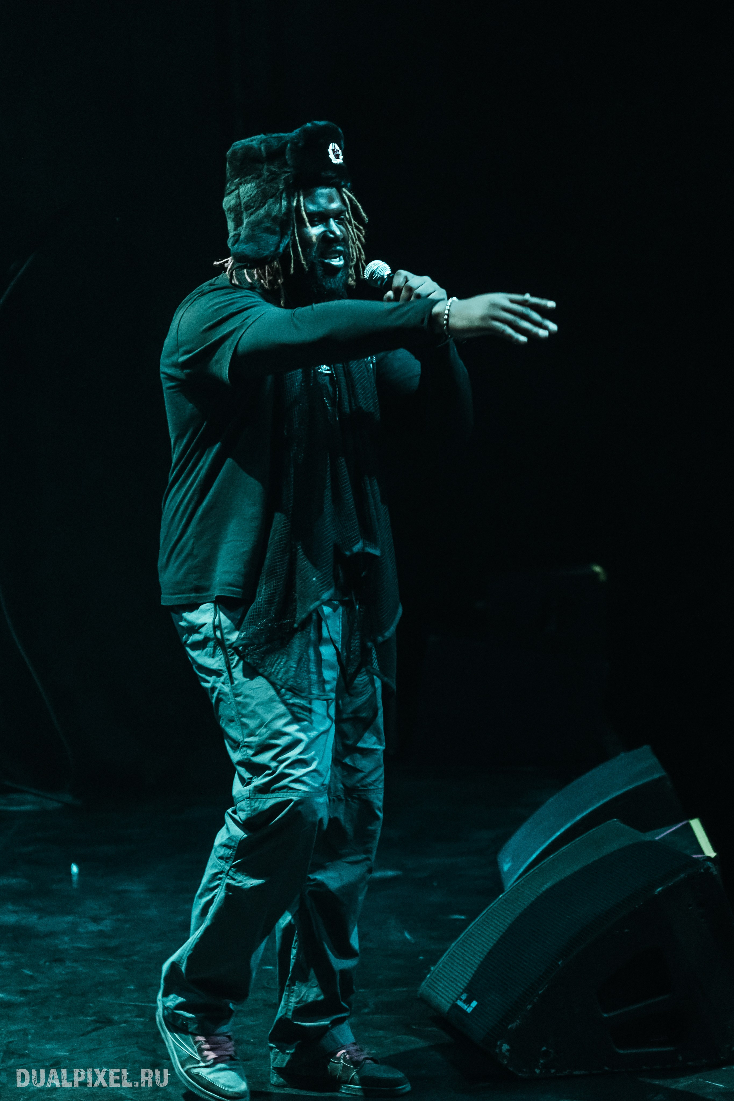 Prince Of Falls. Магия музыки в кадре: Концертная Фотография