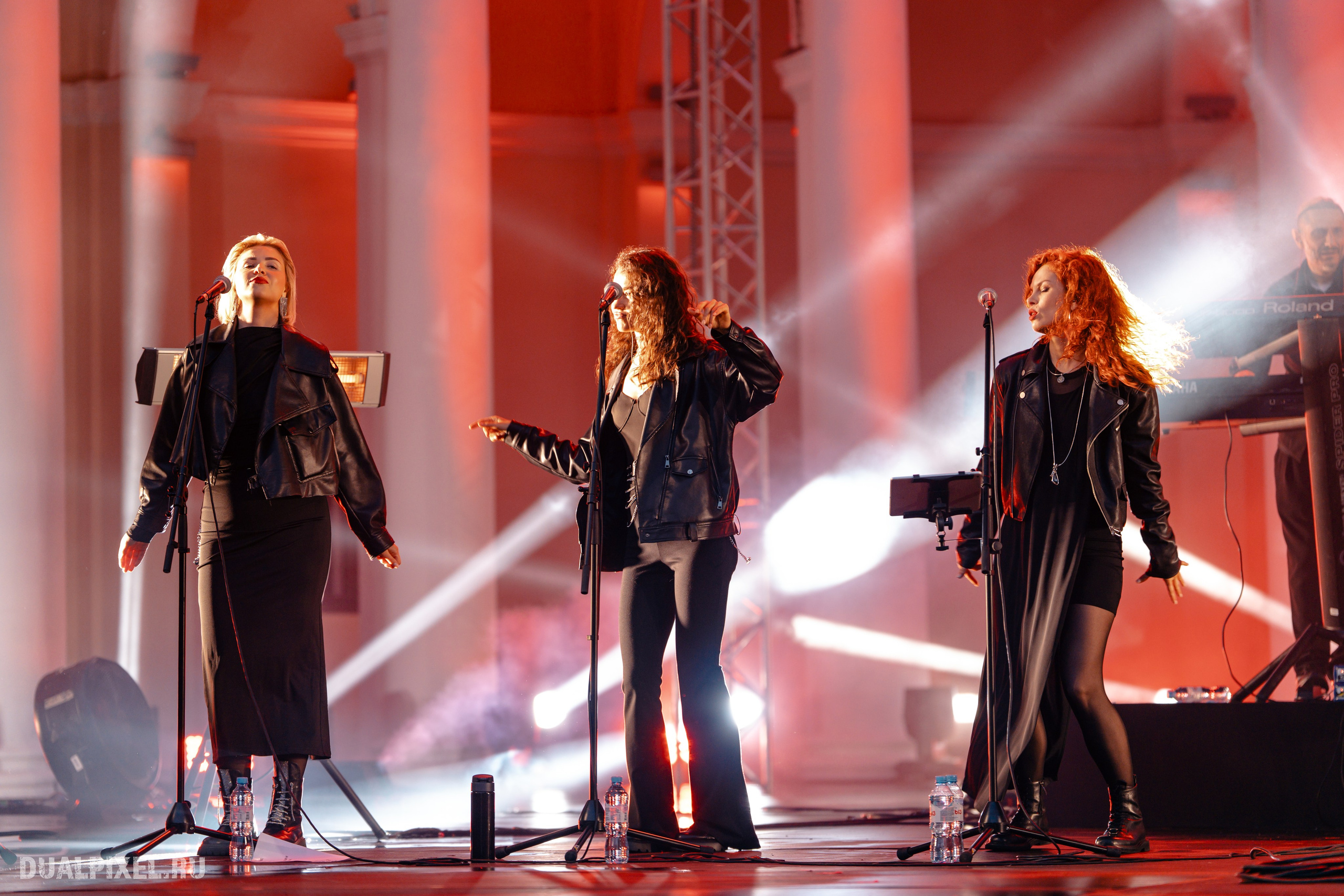 Владимир Пресняков. Магия музыки в кадре: Концертная Фотография