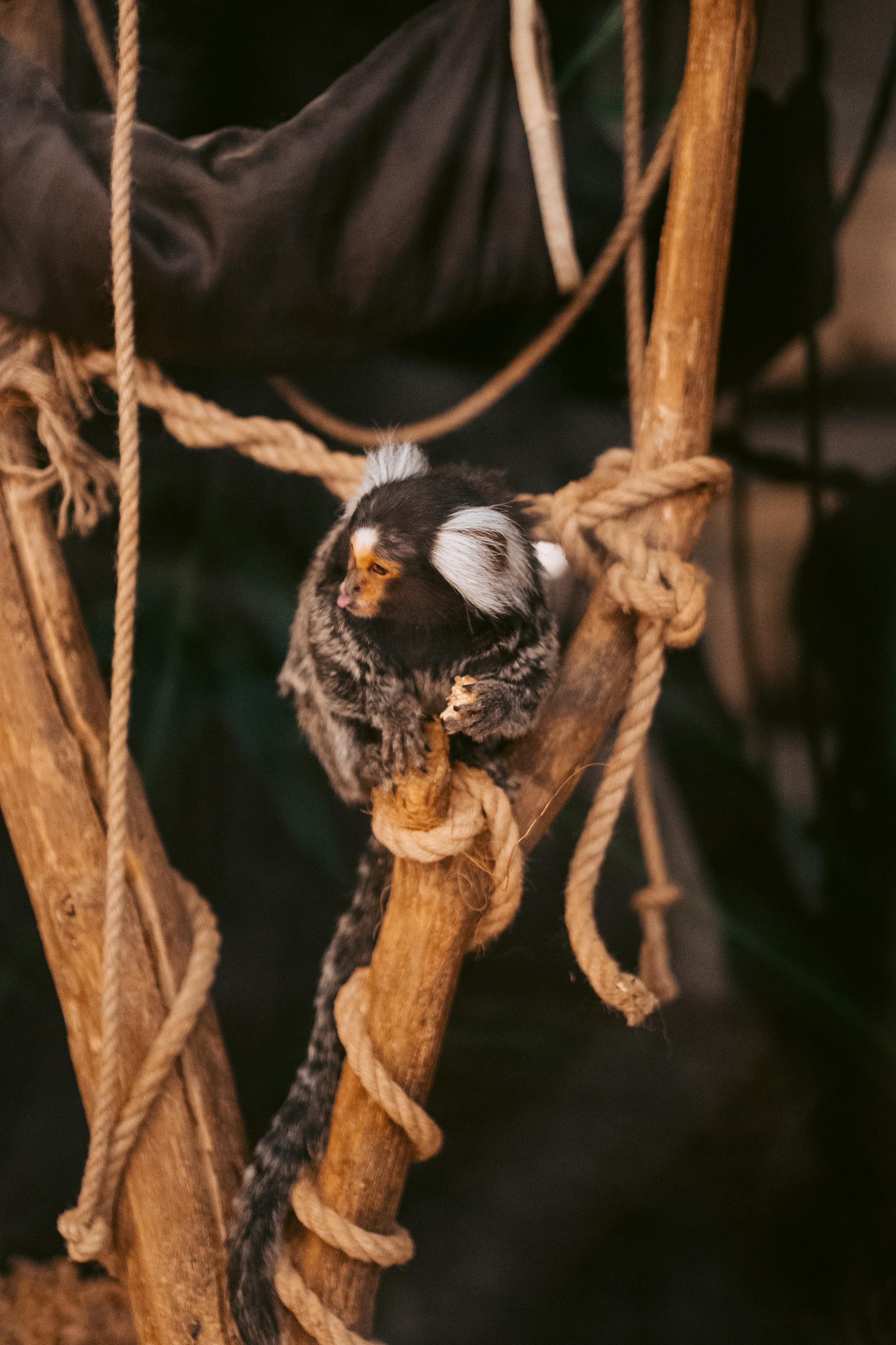 Ночь искусств 2023. Фотограф на любое событие в Кемерово