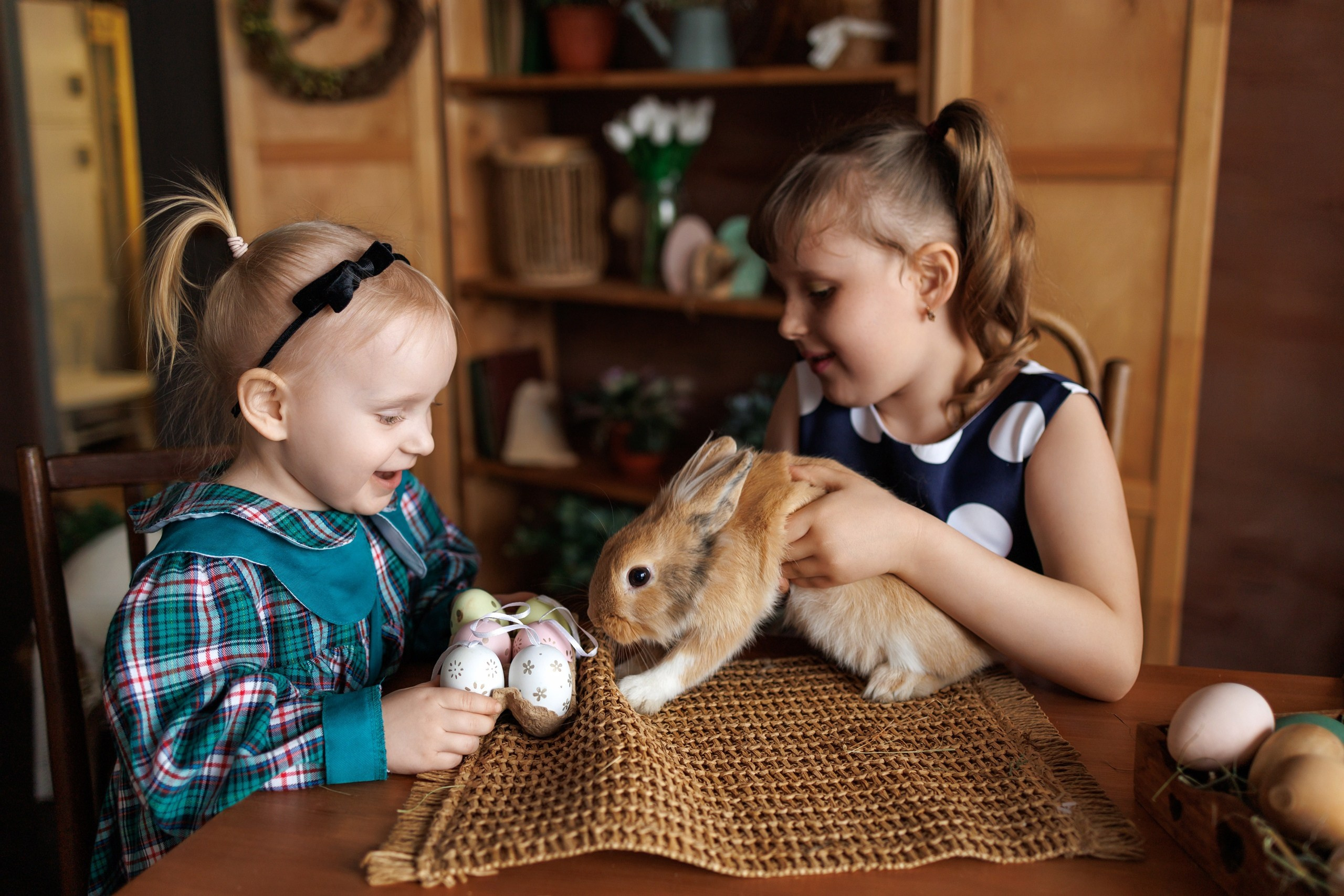 Семейная Съемка. Костин Евгений | Фотограф на свадьбы и мероприятия во Владимирской области