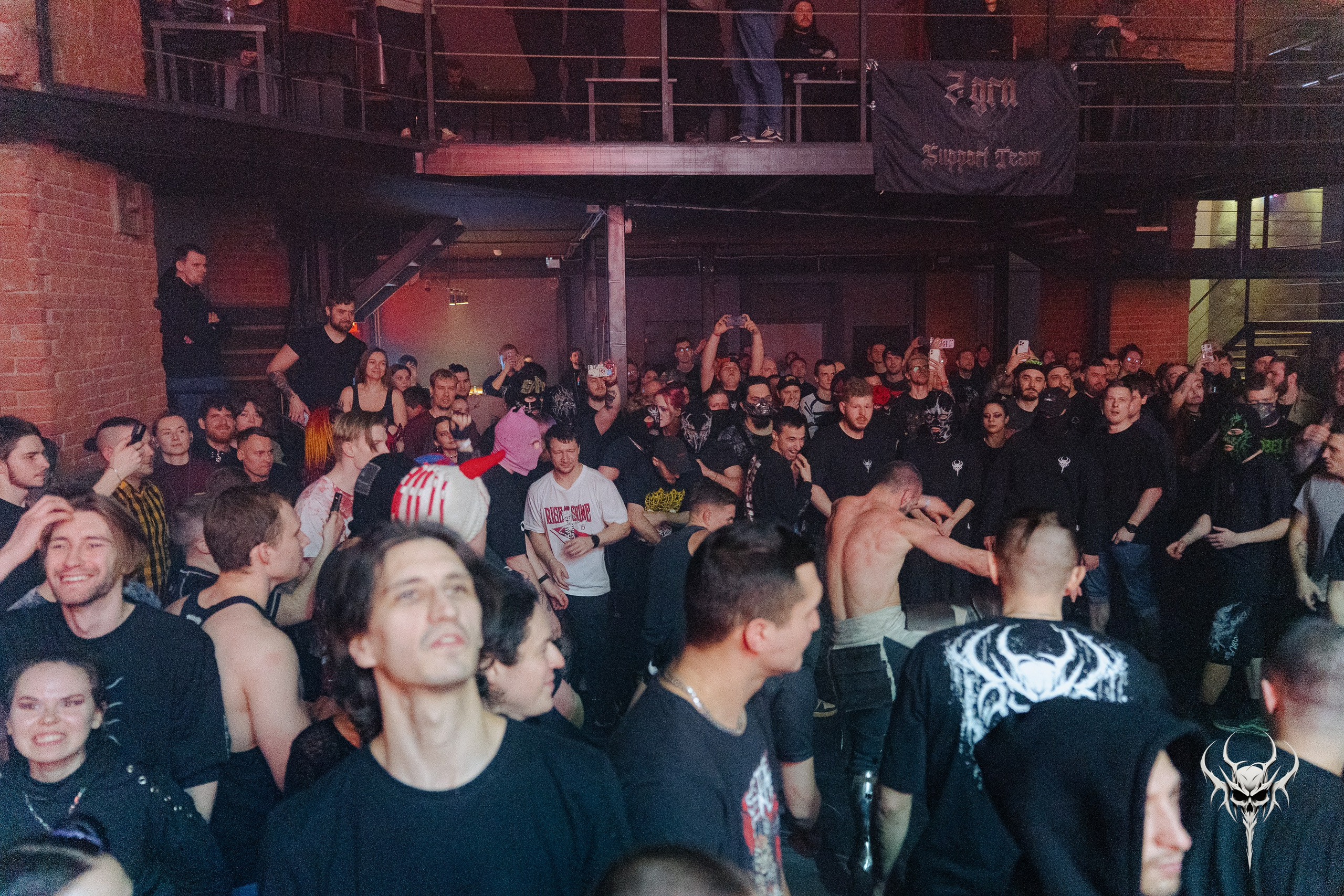 Dexdbell. Рассвет. 01.03.2026. Главная