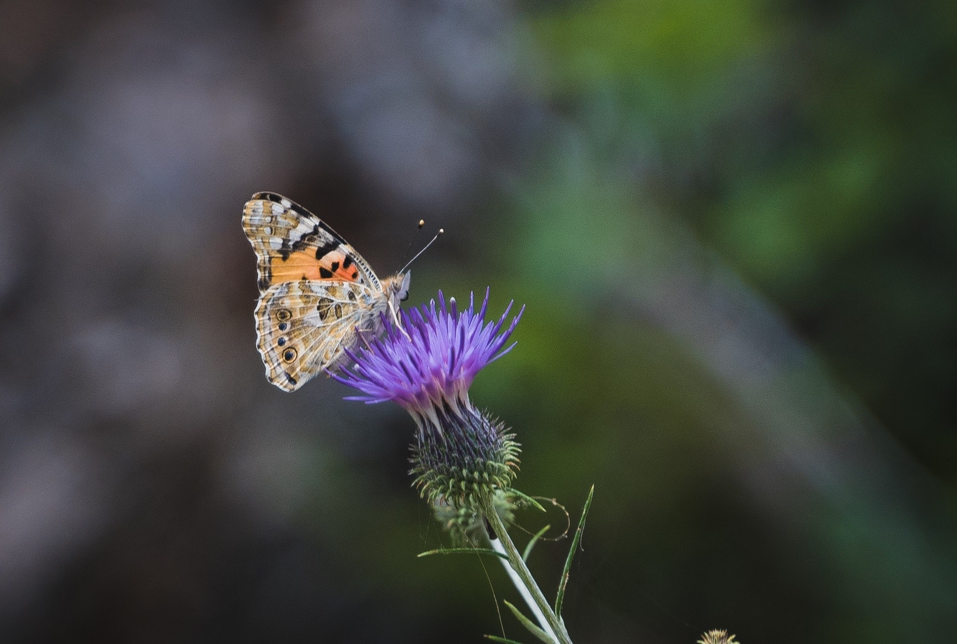 Турция. Восточная Ликийская тропа. Фотограф в поход и восхождение на Эльбрус Игорь Косарев