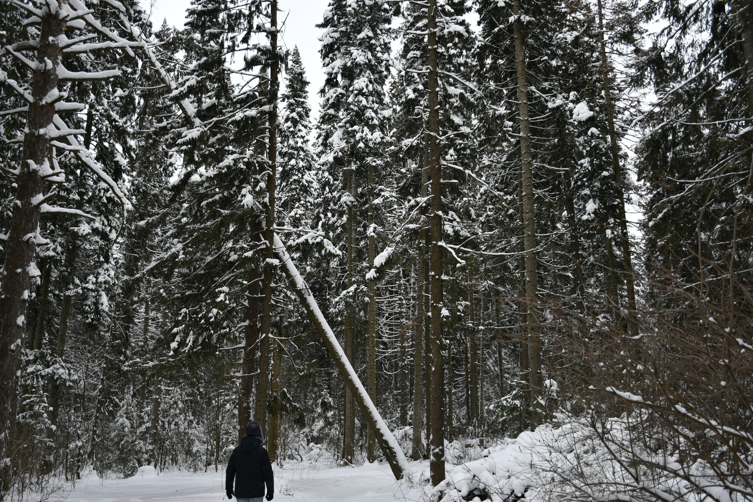 Природа и человек. Анастасия Куц | фотограф | Пермский край