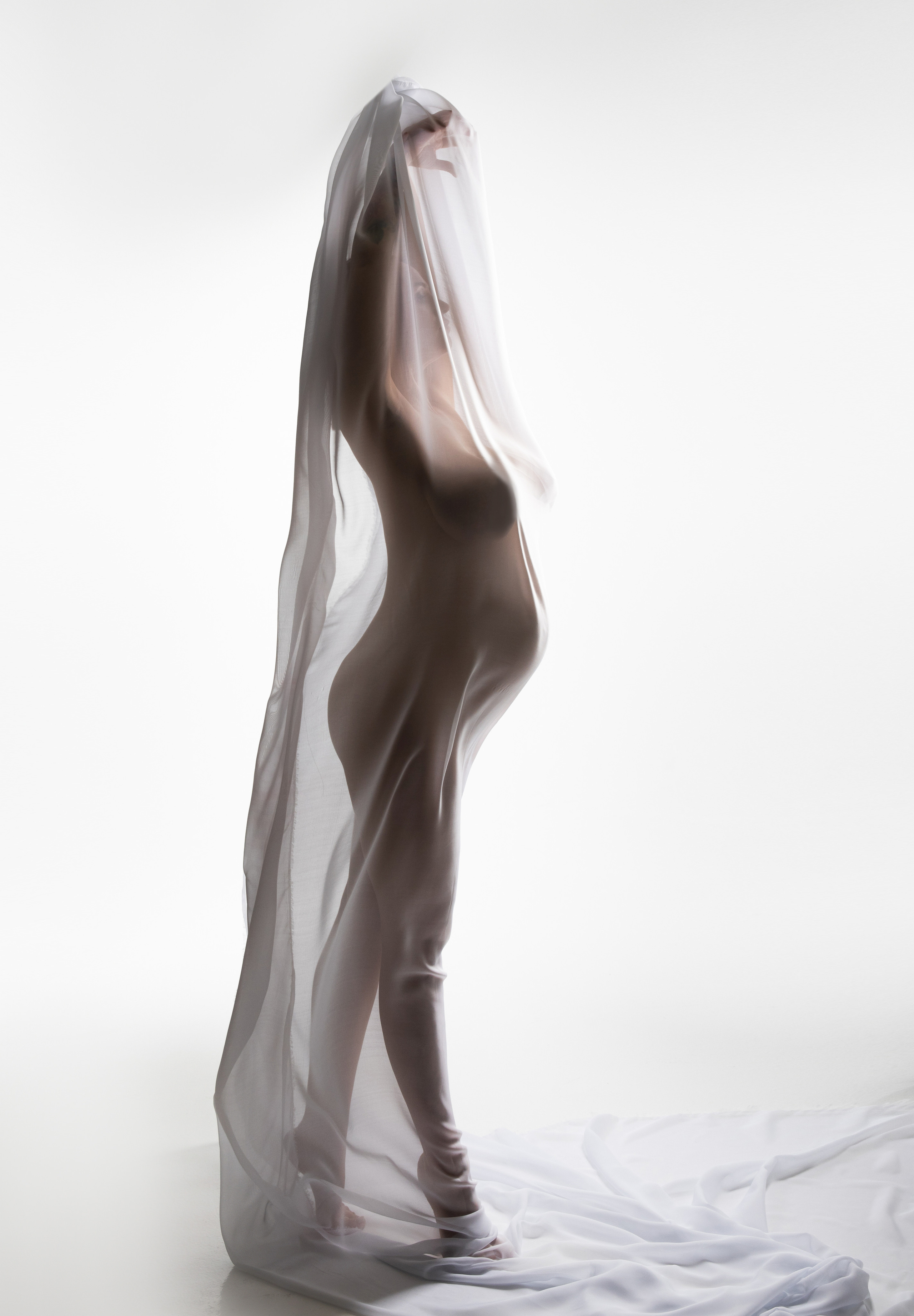 Фотосессия беременности силуэт в белой ткани на светлом фоне.