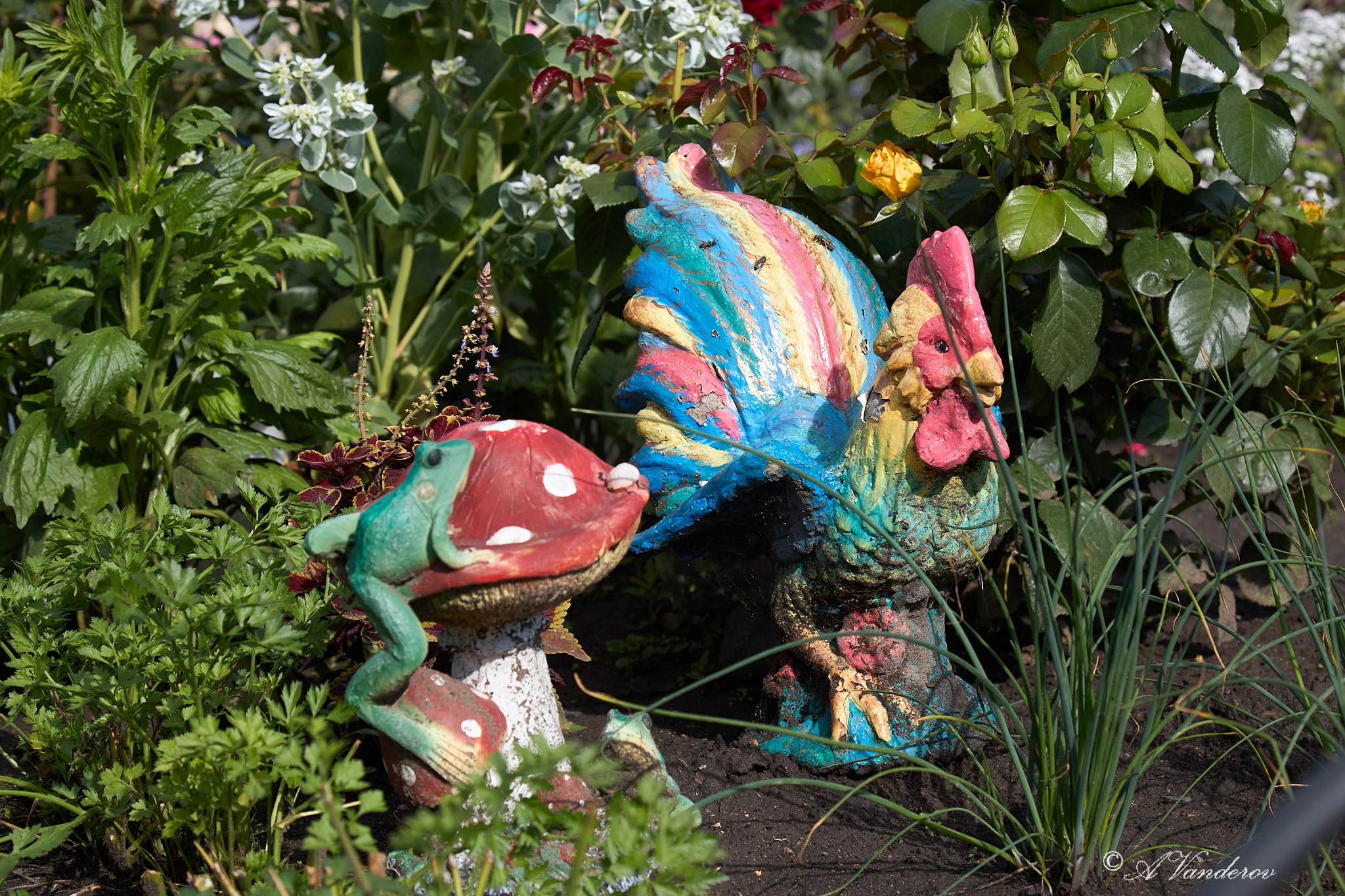 Село Савкино Баганского района Новосибирской области. Фотограф Омск | Александр Вандеров