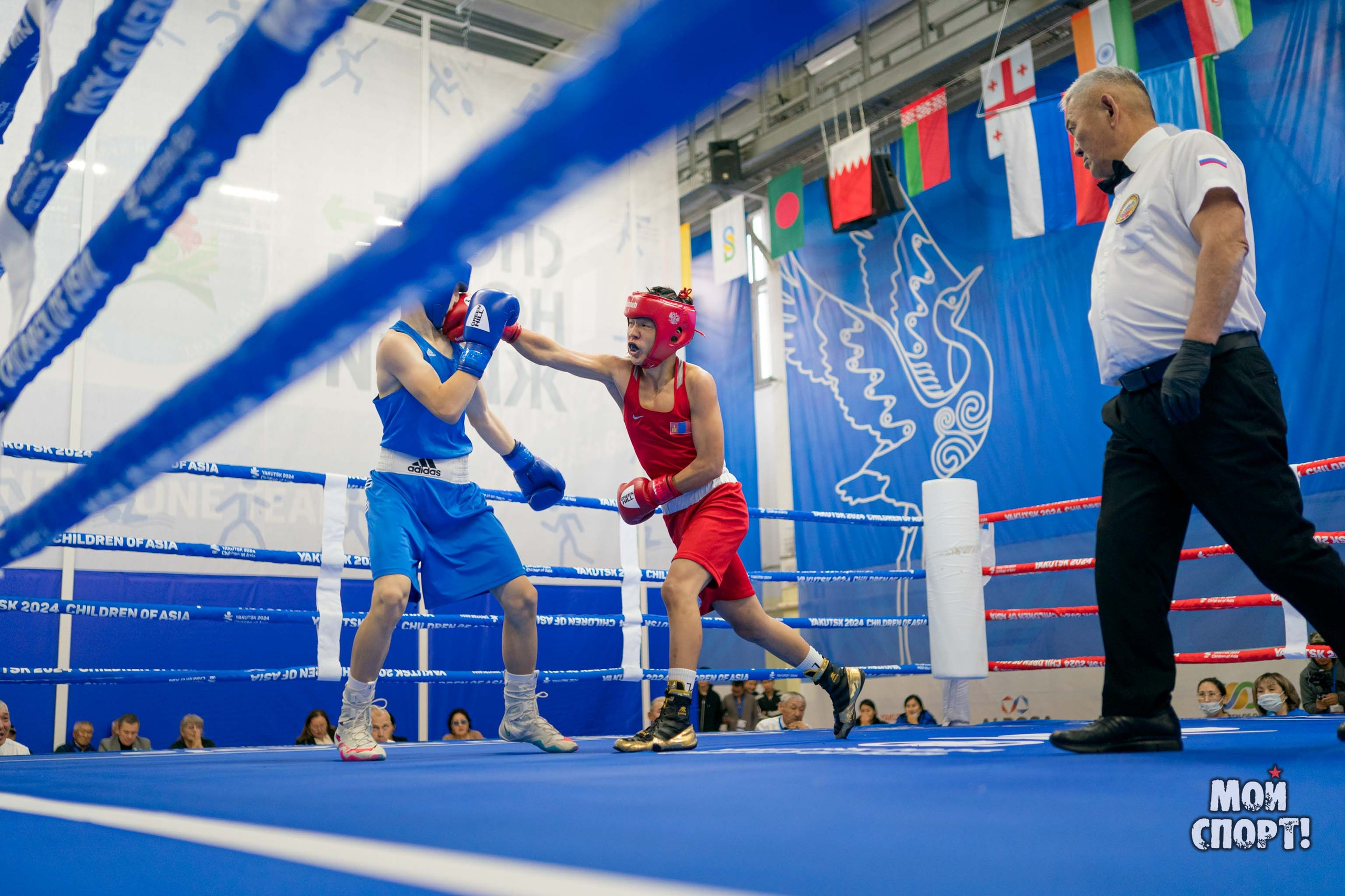 Международные соревнования по боксу памяти А. И. Пахомова. Студия «Мой Спорт!» — все о спорте в Якутии