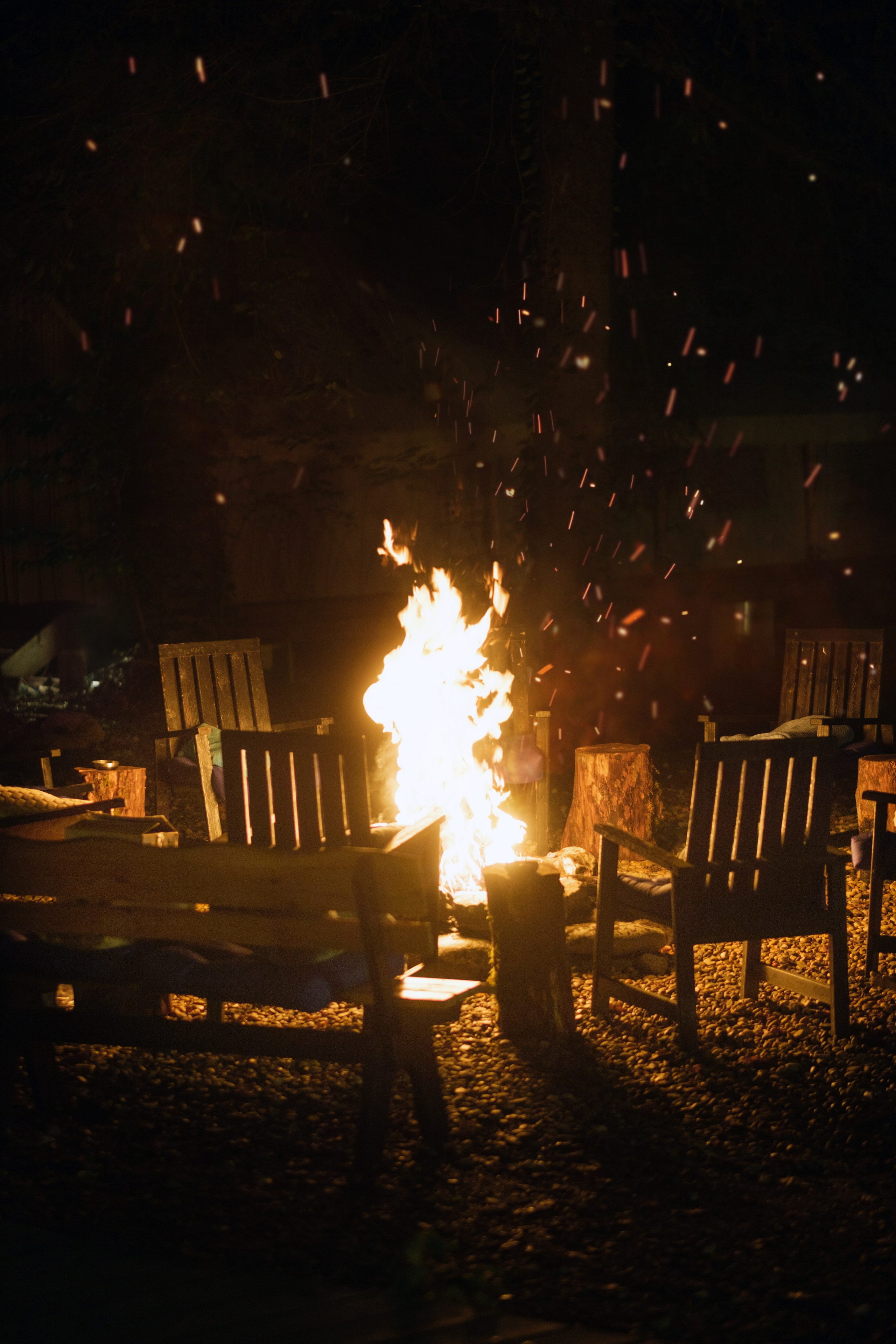 Кот и Дракон. Свадебный Видеограф Фотограф в Сочи