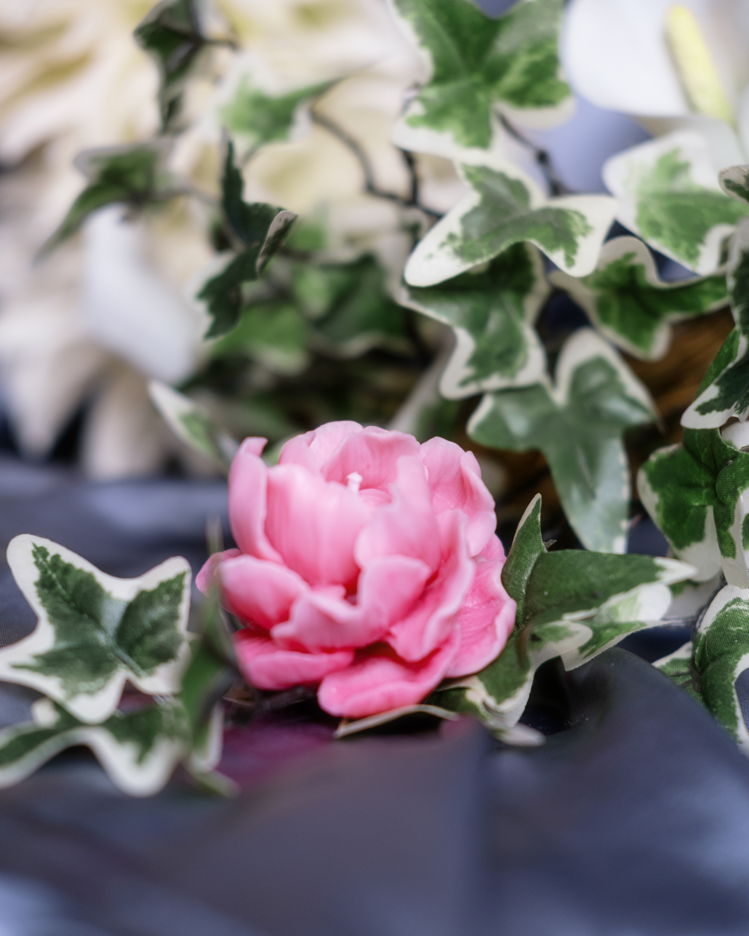 The HOT. Портретный и семейный фотограф в СПб Марья Туранова