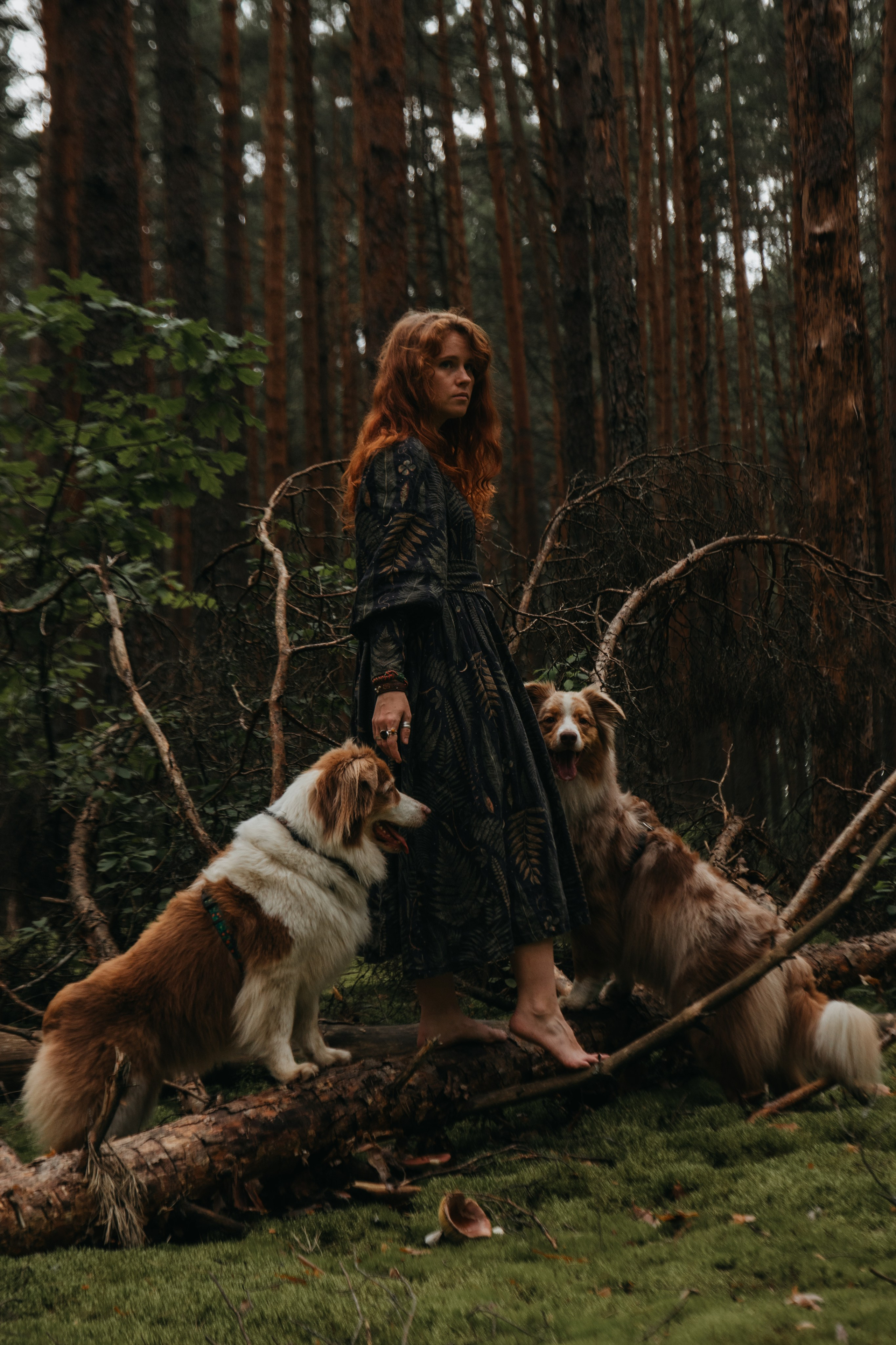 Волшебный лес с Тасей, Морошкой и Брусникой. Стас Соболь, фотограф анималист, репортажник, Москва