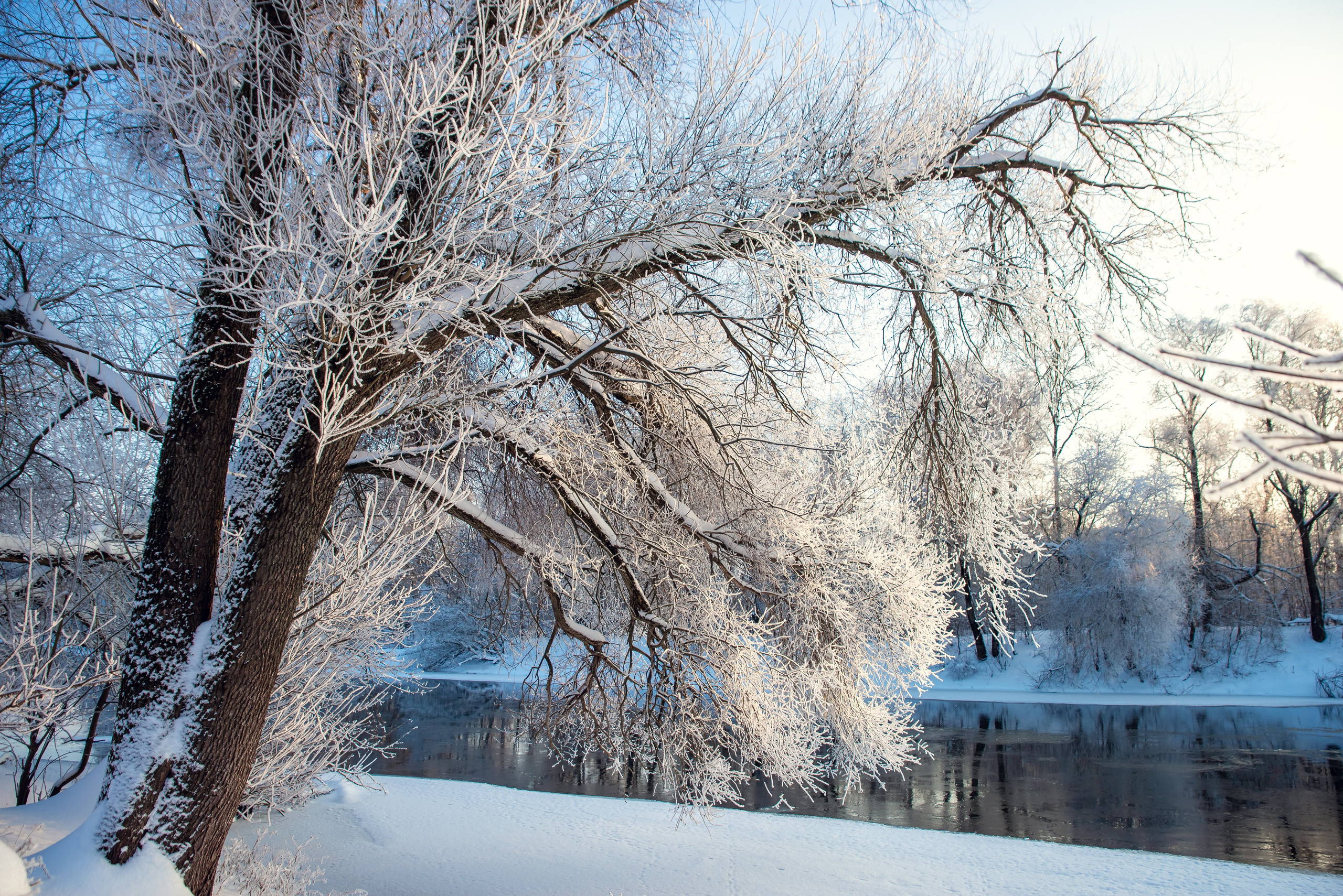 Зимушка зима. Фотограф Крещение Венчание Москва