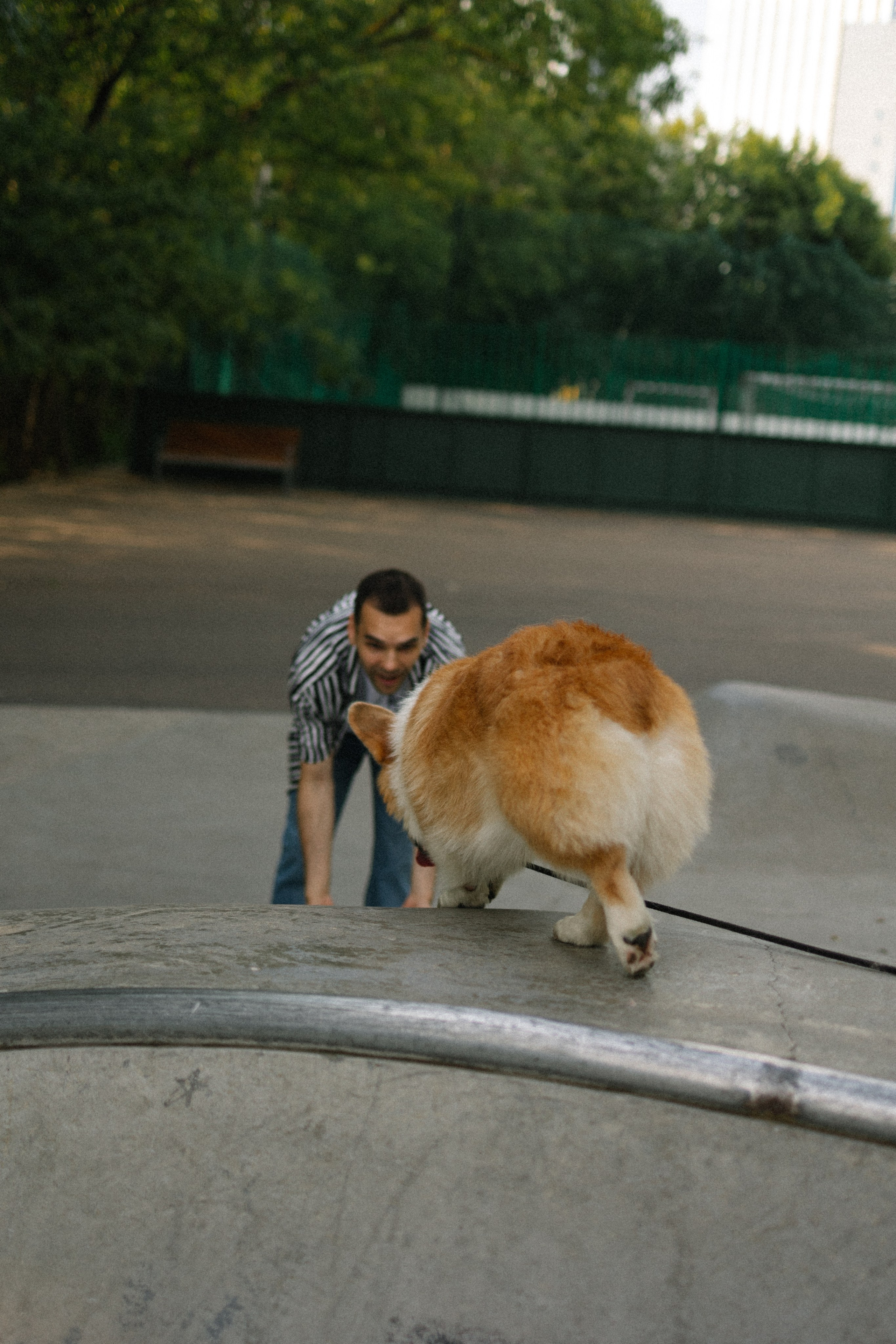 Брюс, Вейв и их ро. Фотораф — анималист Мария Шистка