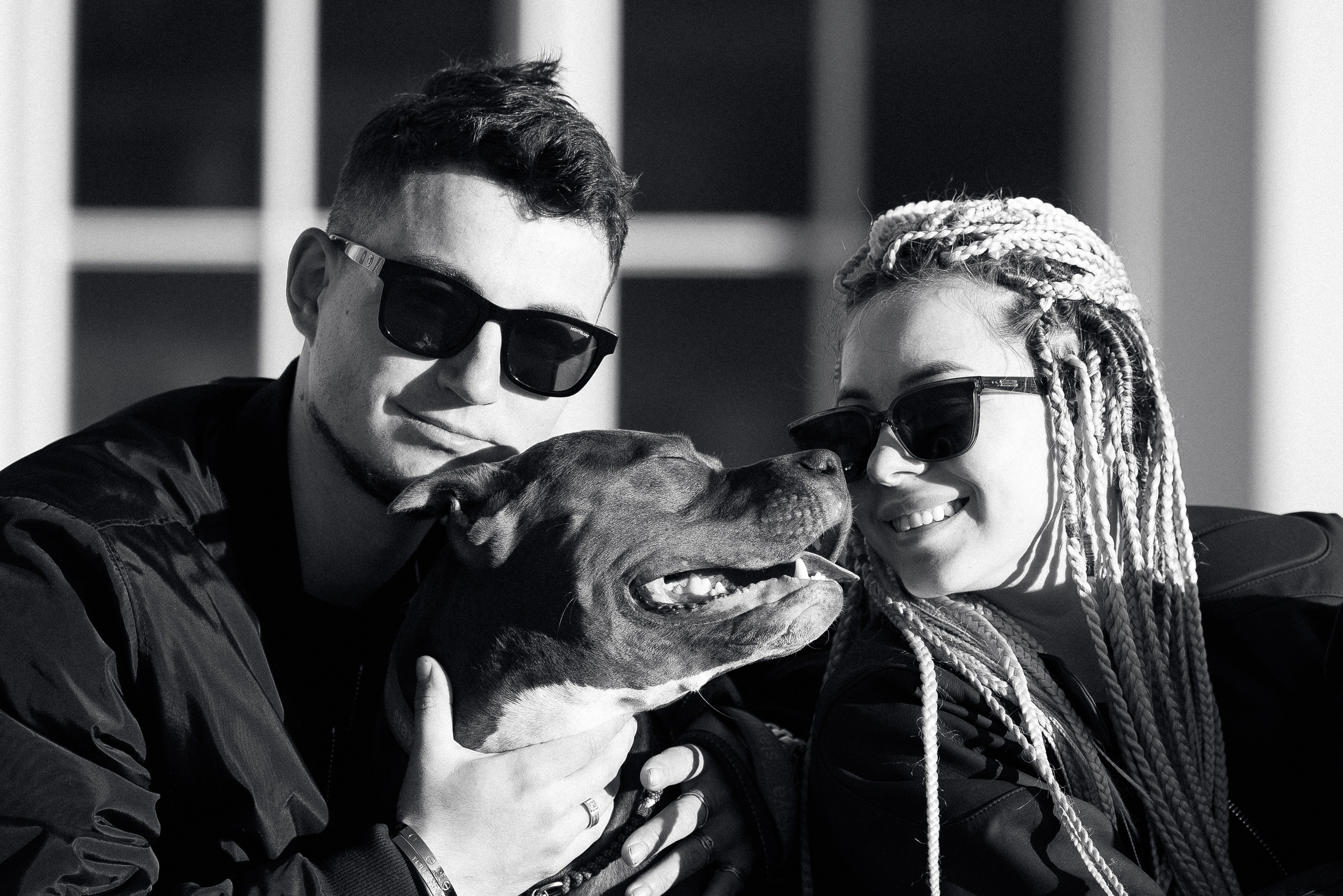 Катя, Леша, Трой и Лея. Фотограф и видеограф анималист Аганина Дарья