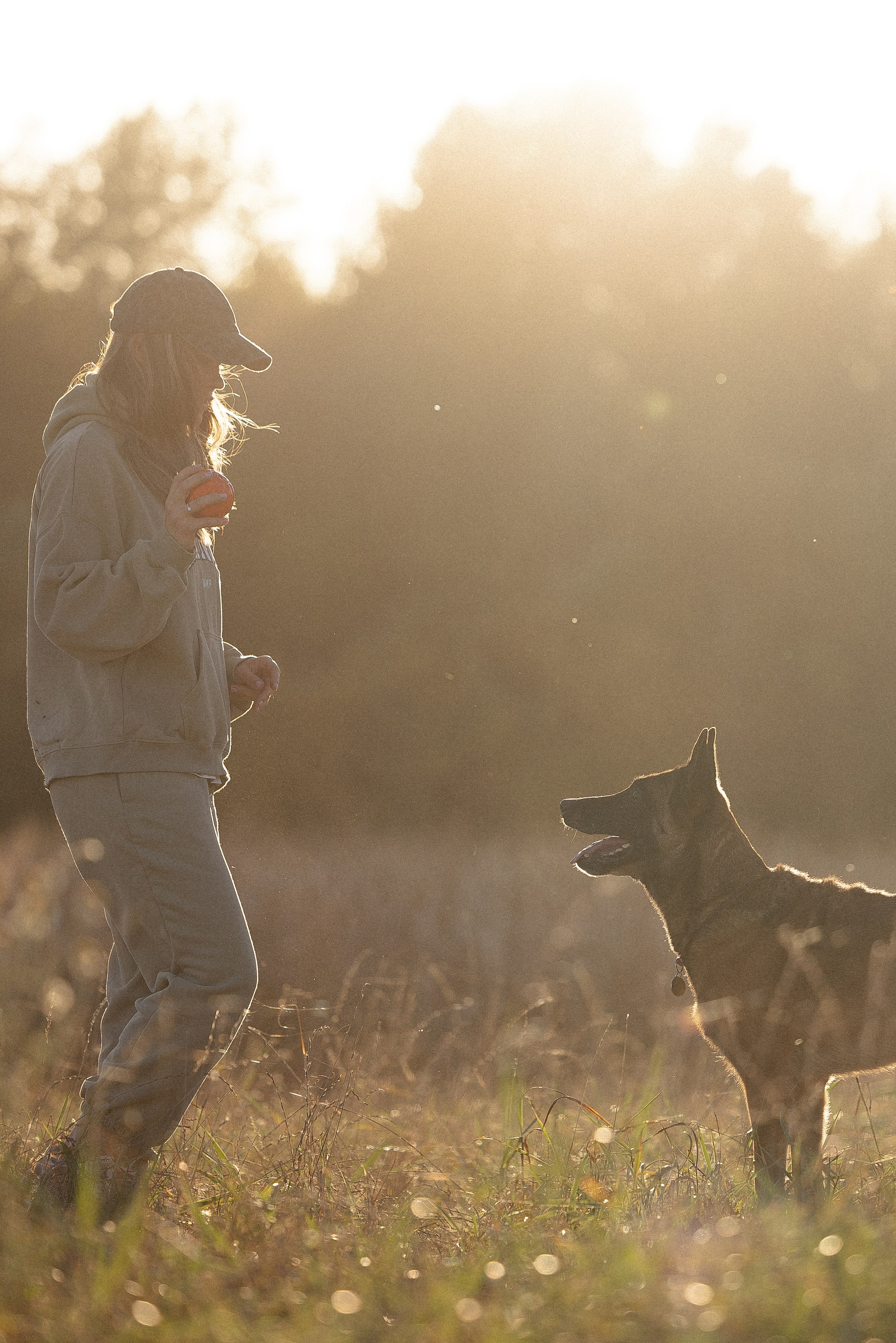 Женя, Афра и Молли. Фотограф и видеограф анималист Аганина Дарья