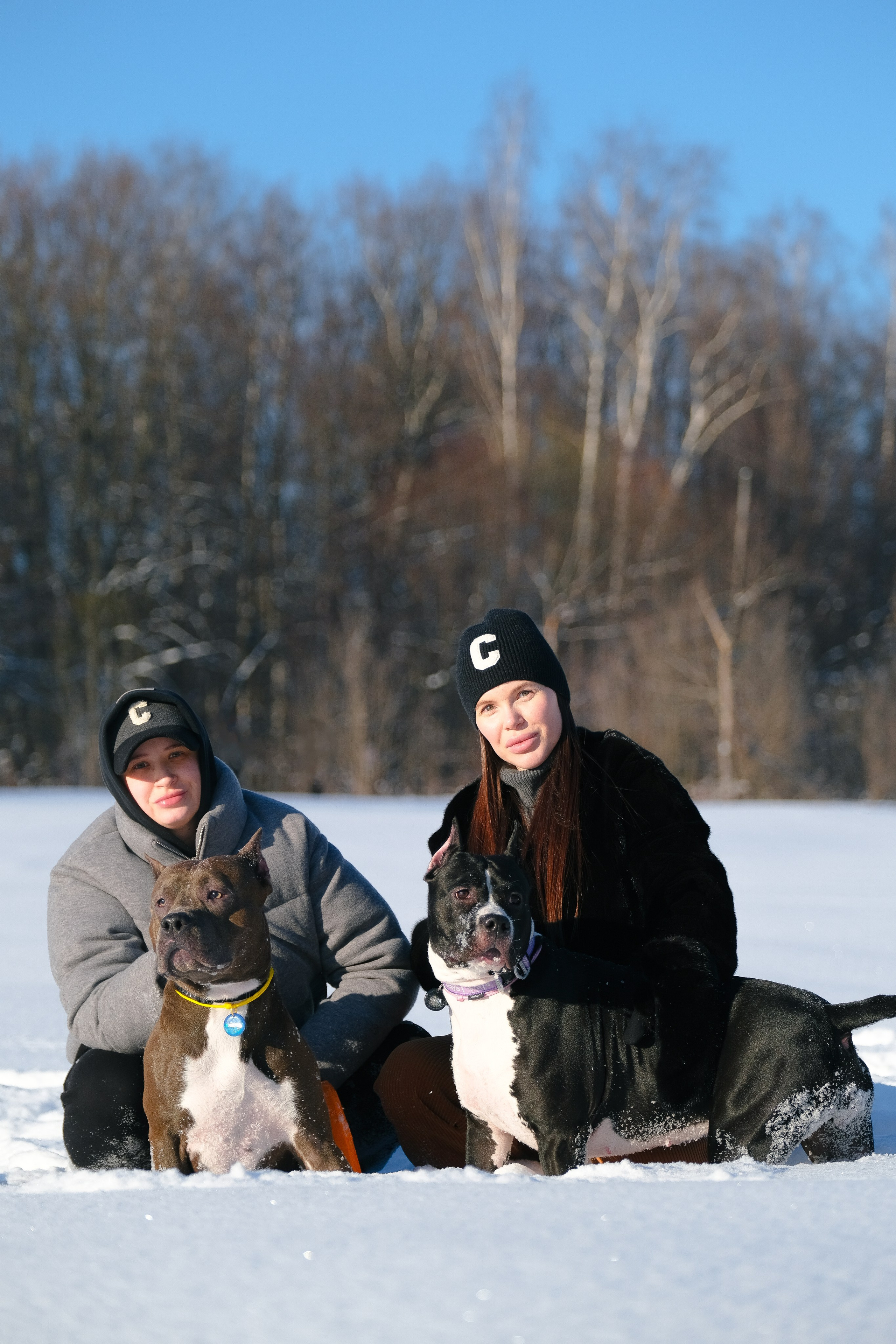 Баста и Эйгон. Фотограф и видеограф анималист Аганина Дарья