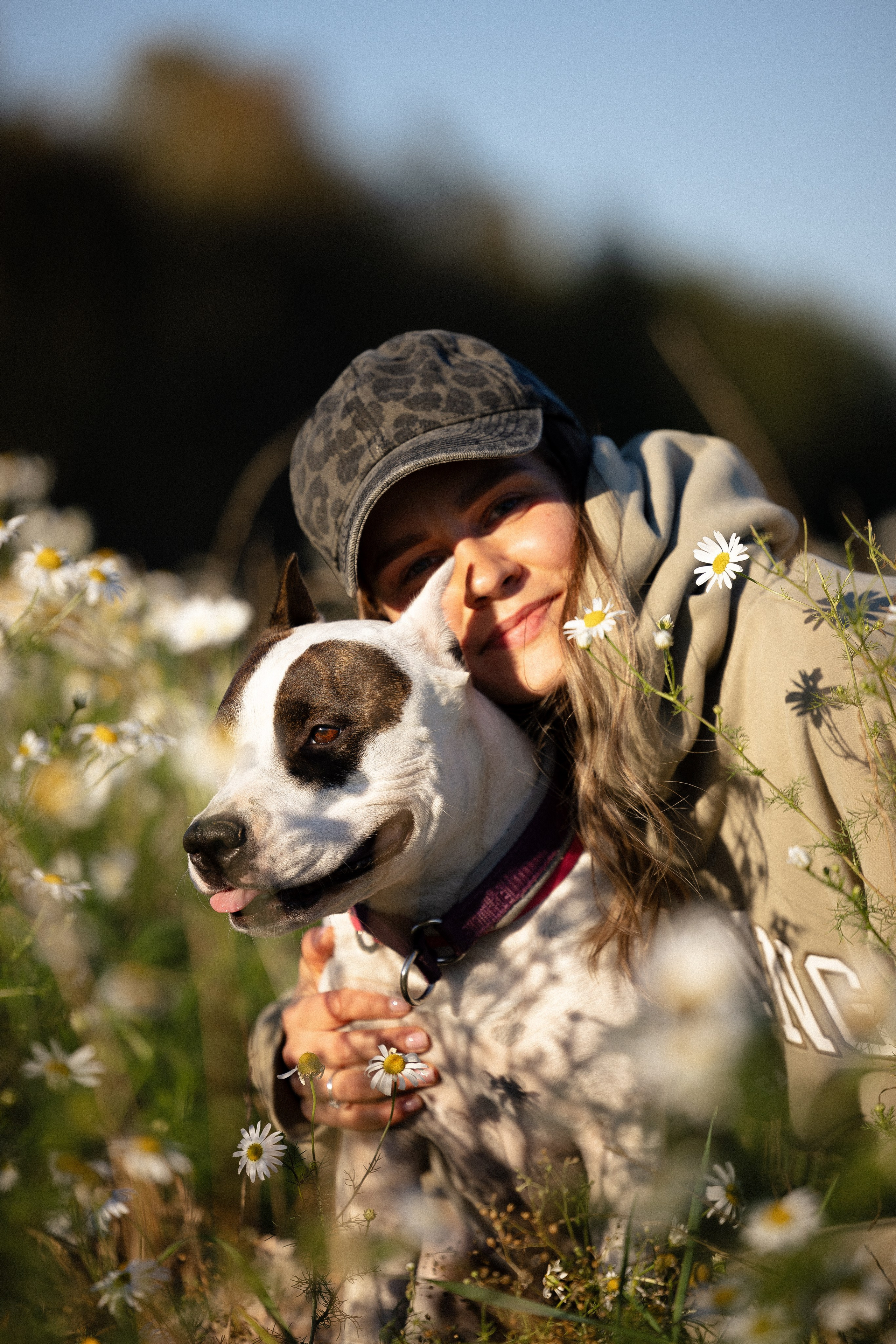 Женя, Афра и Молли. Фотограф и видеограф анималист Аганина Дарья