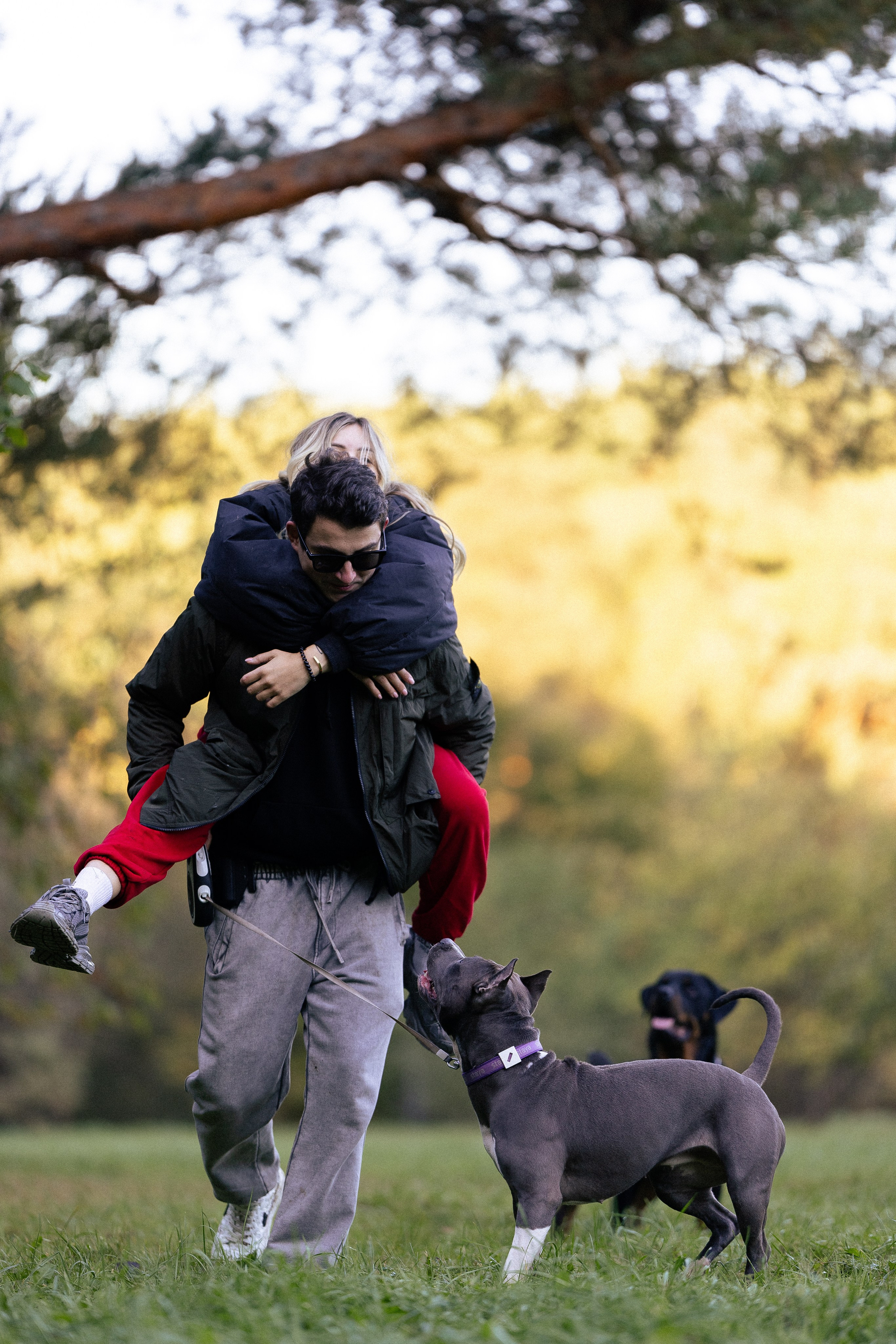 Катя, Леша, Лея и Трой. Фотограф и видеограф анималист Аганина Дарья
