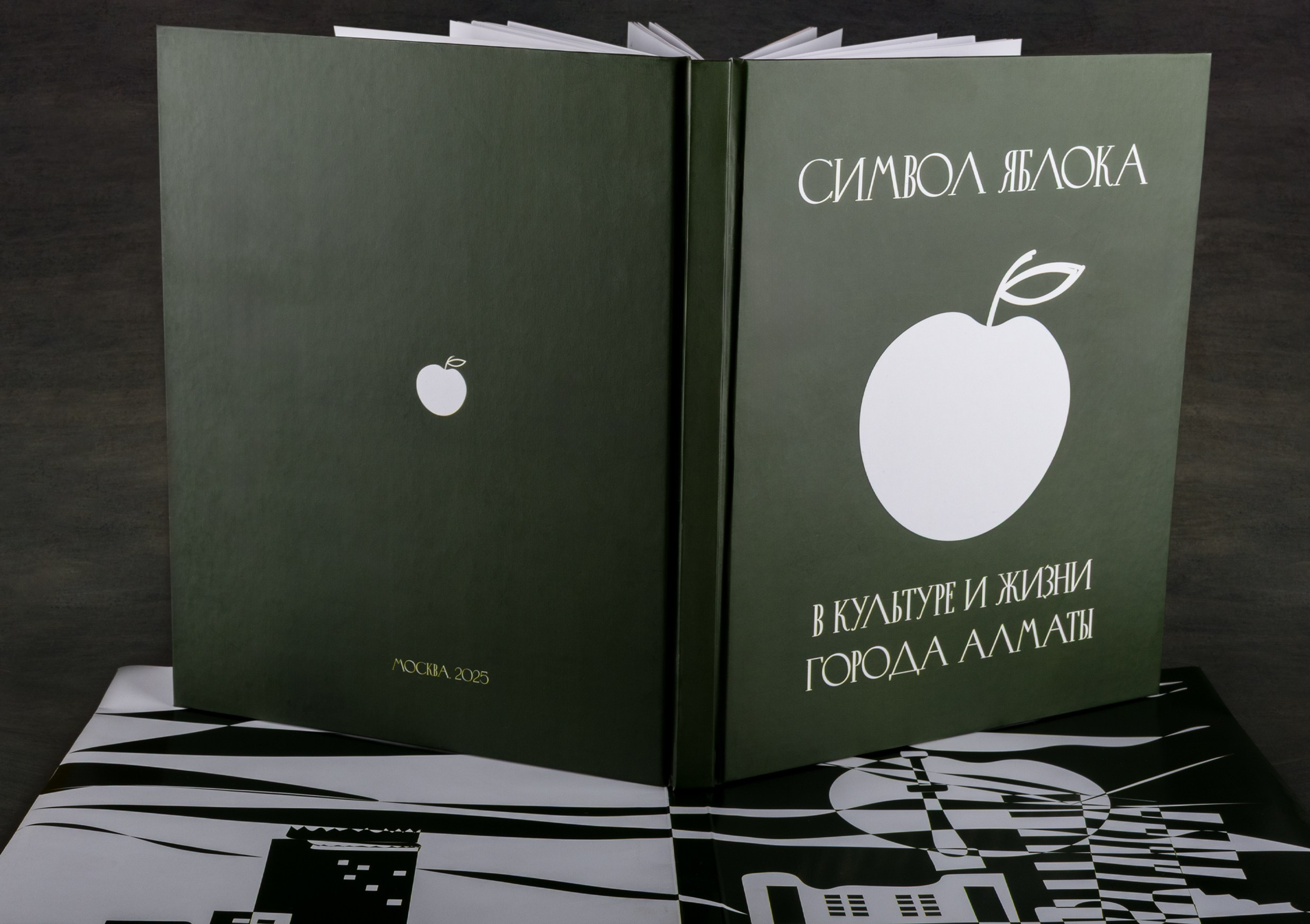 Предметная съёмка книги. Предметный, рекламный, ювелирный фотограф в Москве