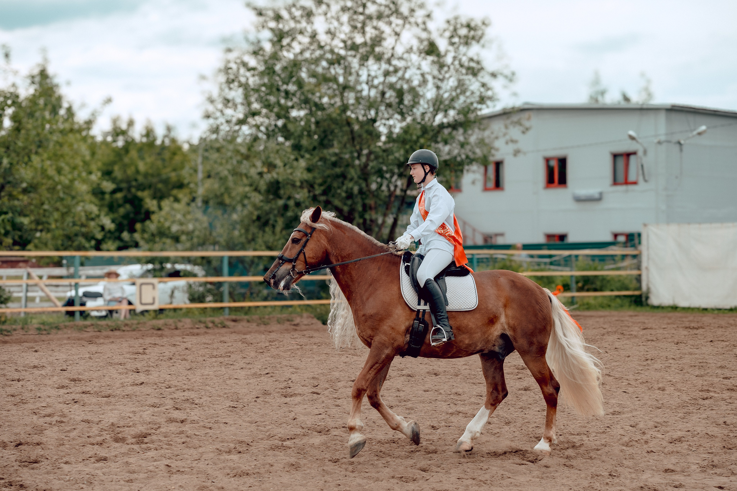 Hourse. Портретный и семейный фотограф в Москве/Видное