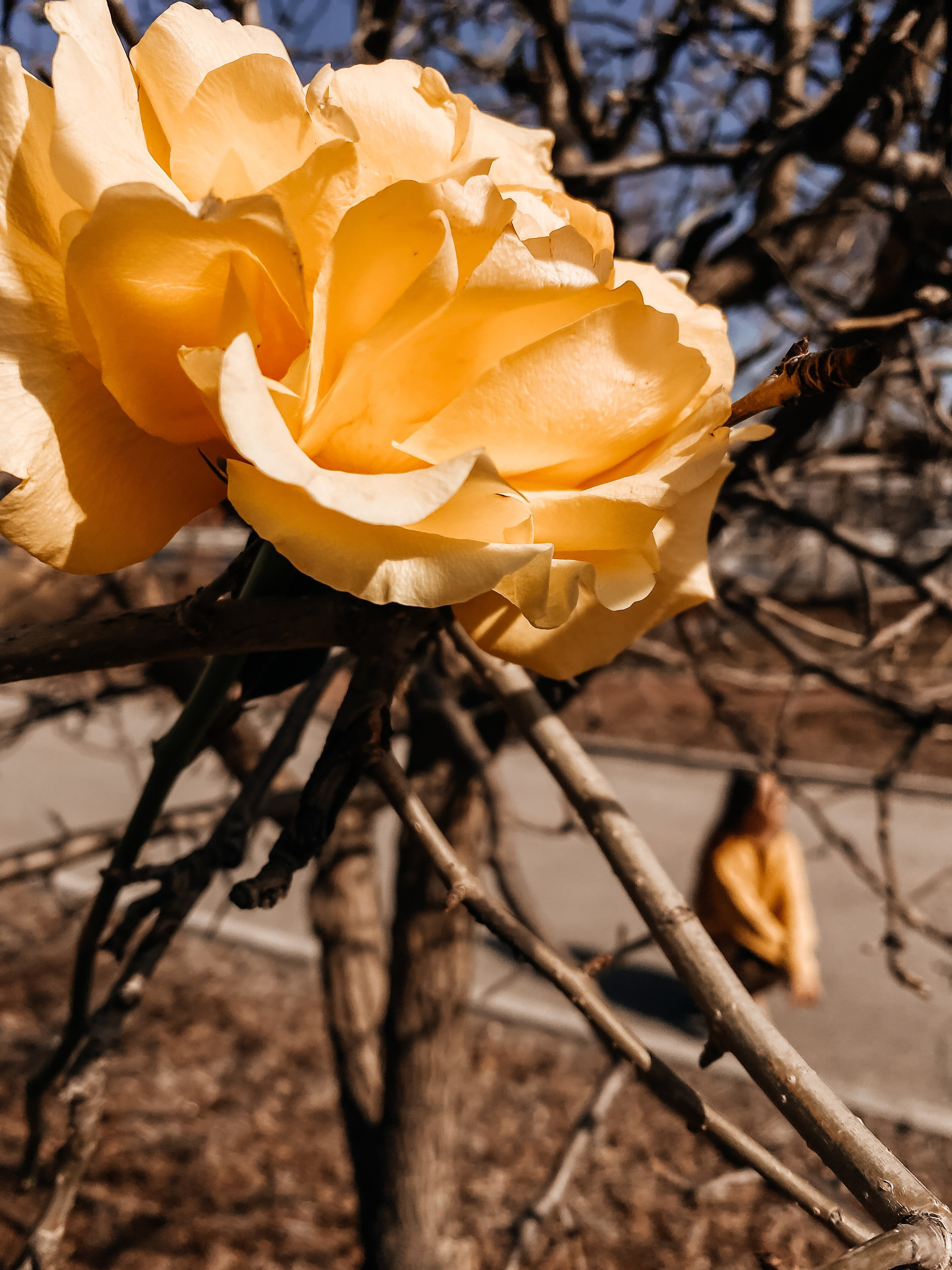 Катерина. Olga Popova — Photographer in Morocco