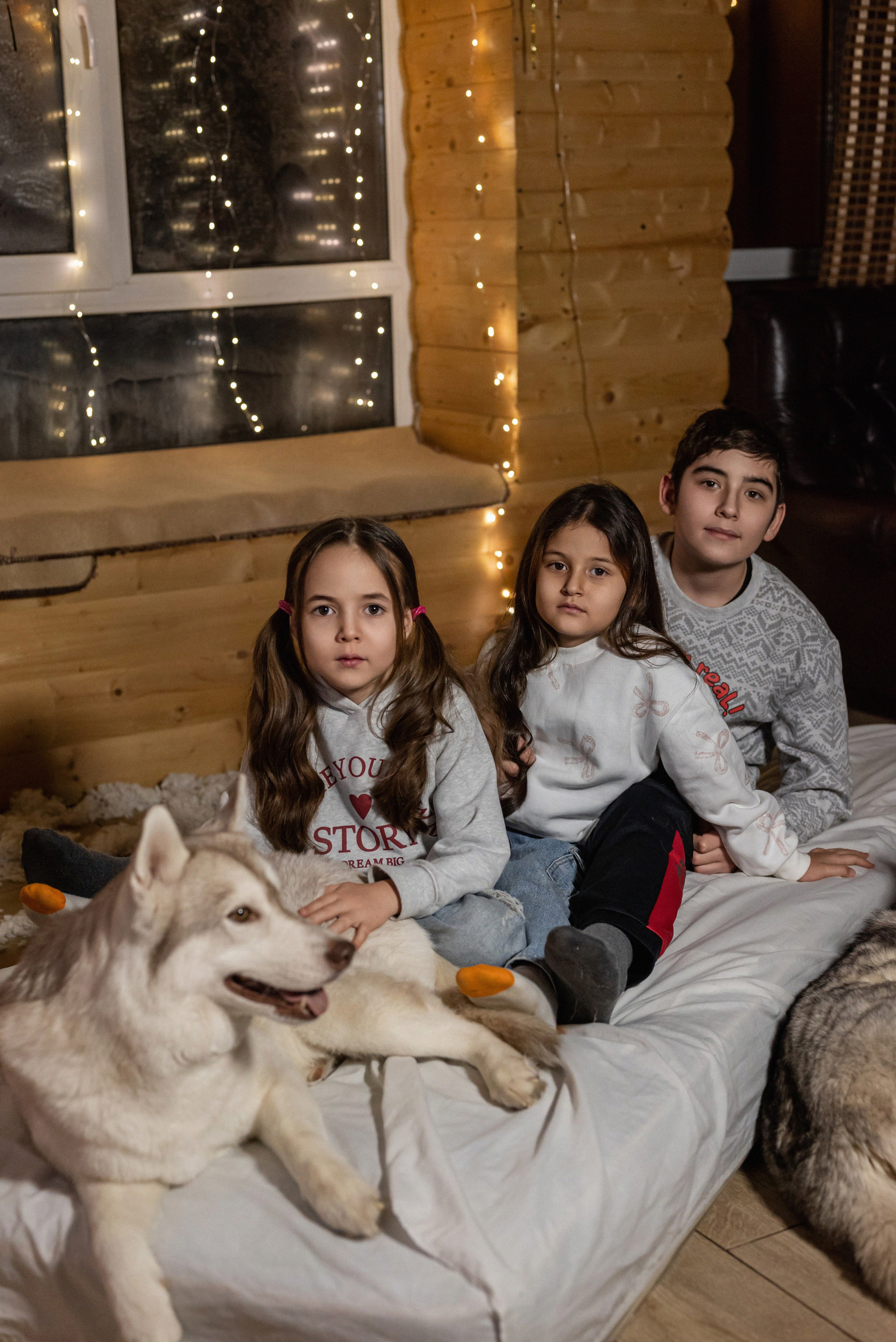 Фотопроект с хаски 2025 г. Фотограф в городе Салават