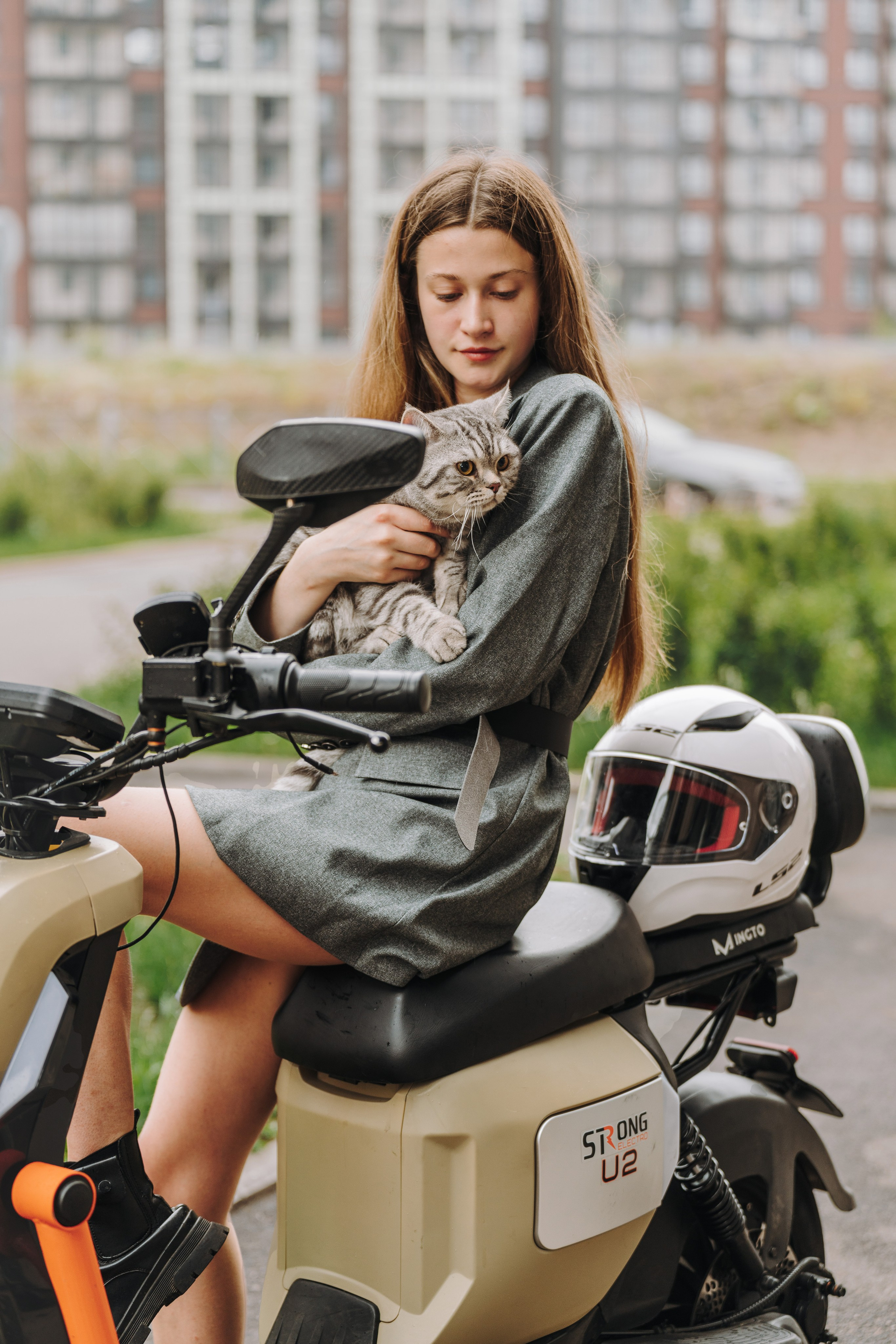 Портфолио кошки, фотограф Олеся Майрова. Фотограф анималист в Спб недорого Олеся Майорова