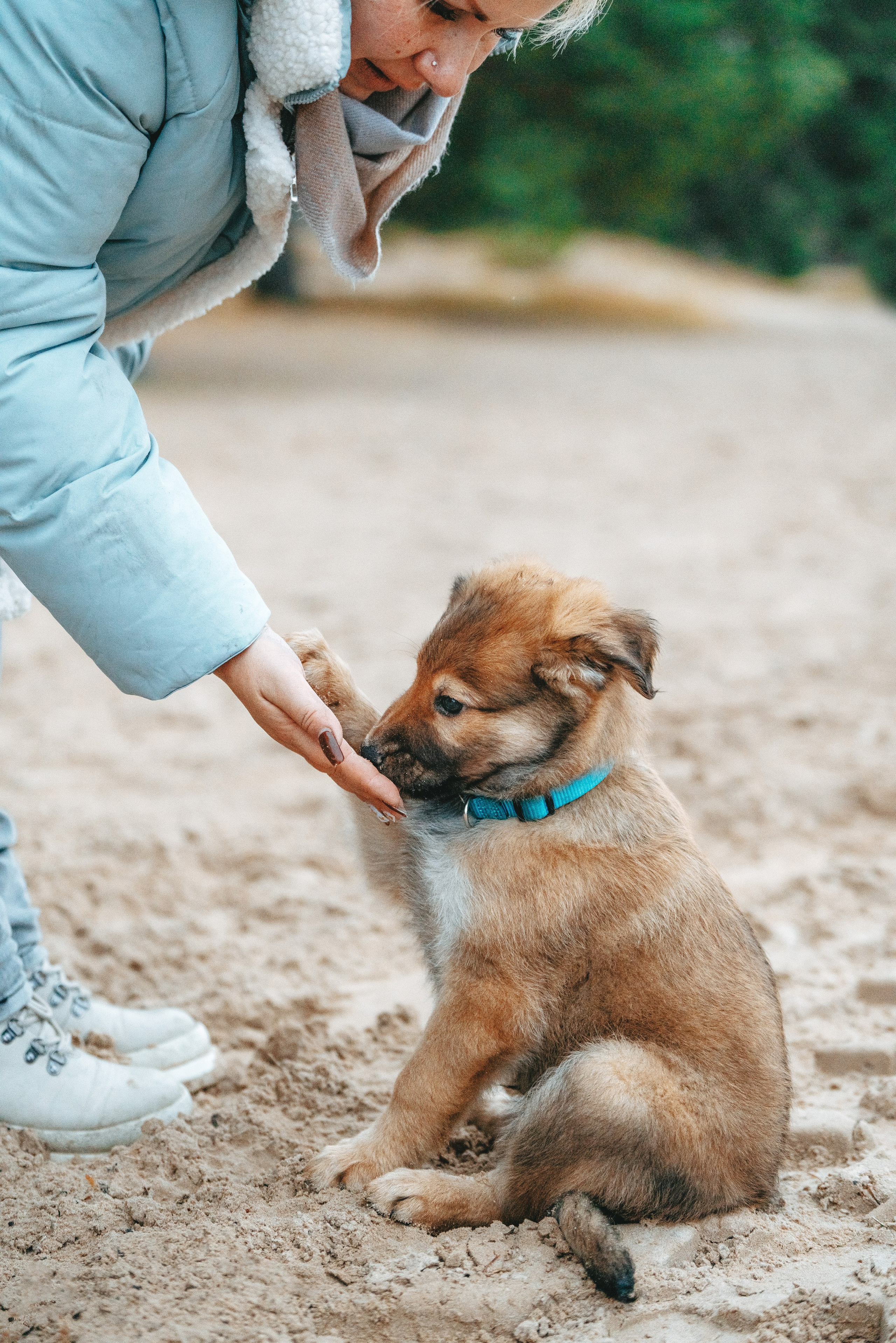 Малыш Кузя и его семья. Фотограф анималист в Спб недорого Олеся Майорова