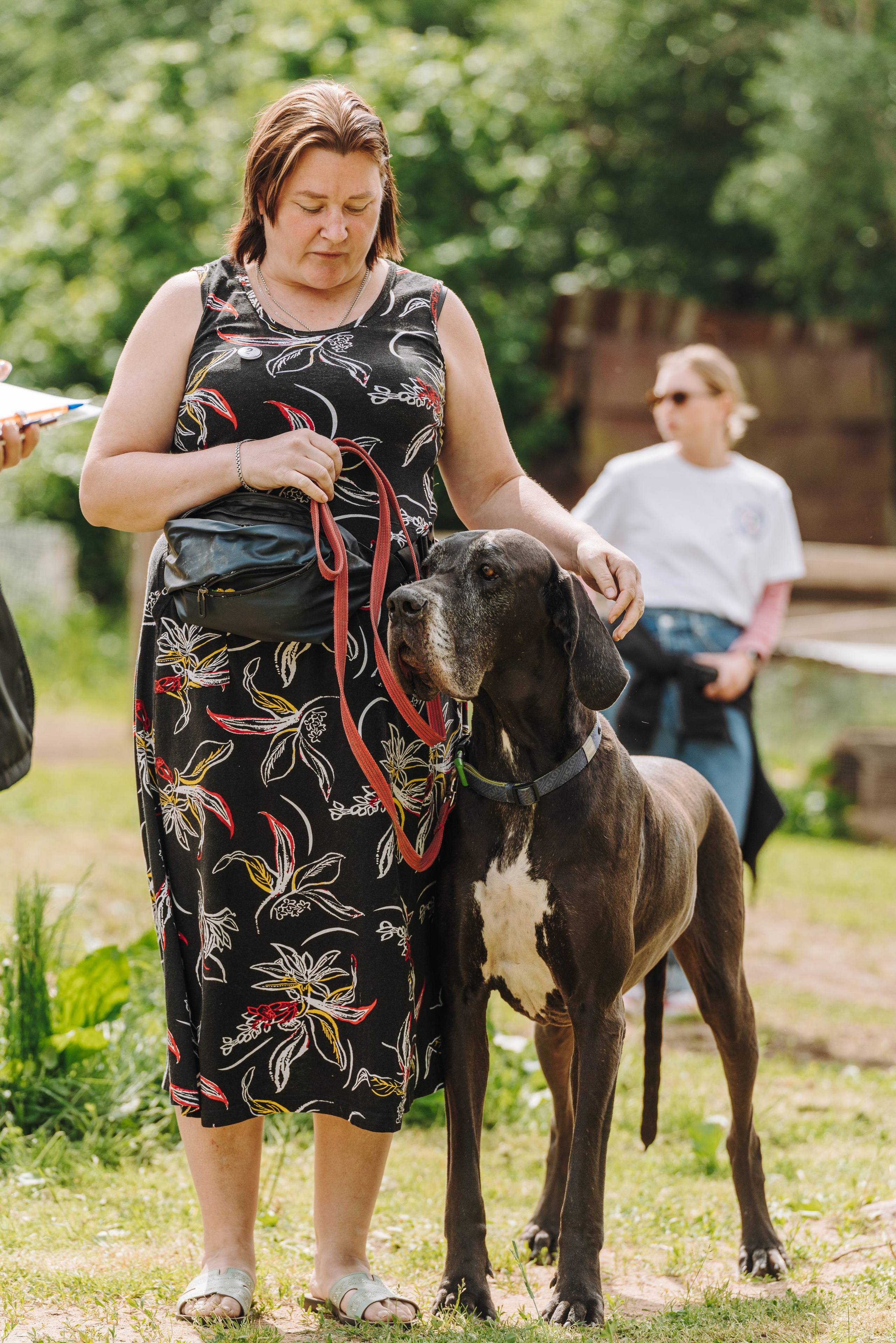 Соревнования по ноузворку. Фотограф анималист в Спб недорого Олеся Майорова