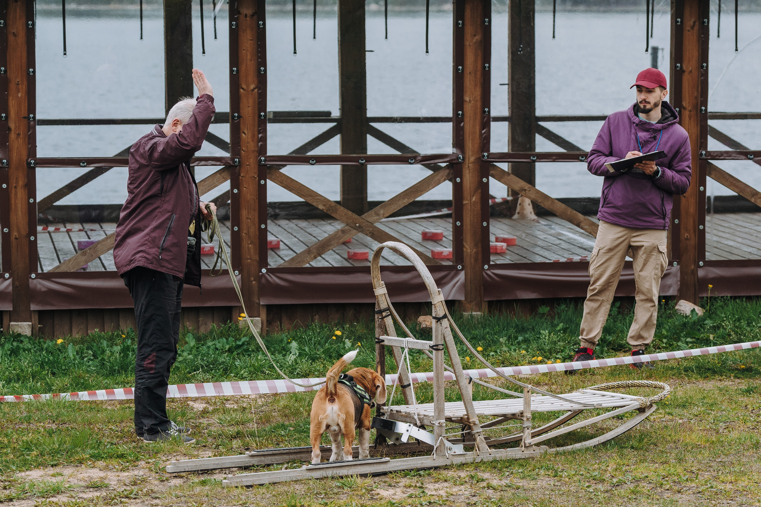 Соревнования по ноузворку в Лосево. Фотограф анималист в Спб недорого Олеся Майорова