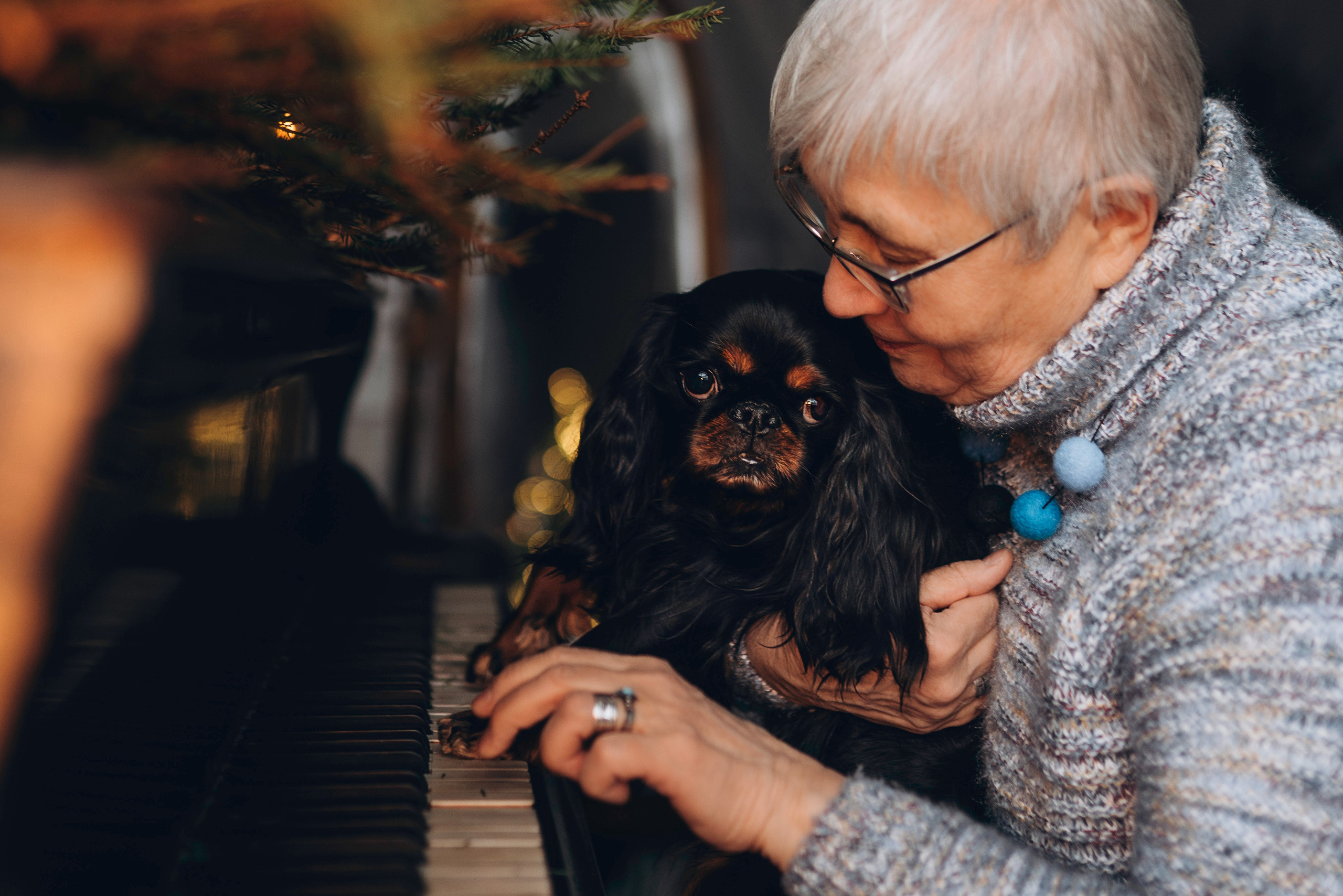 Ариша и её семья. Фотограф анималист в Спб недорого Олеся Майорова