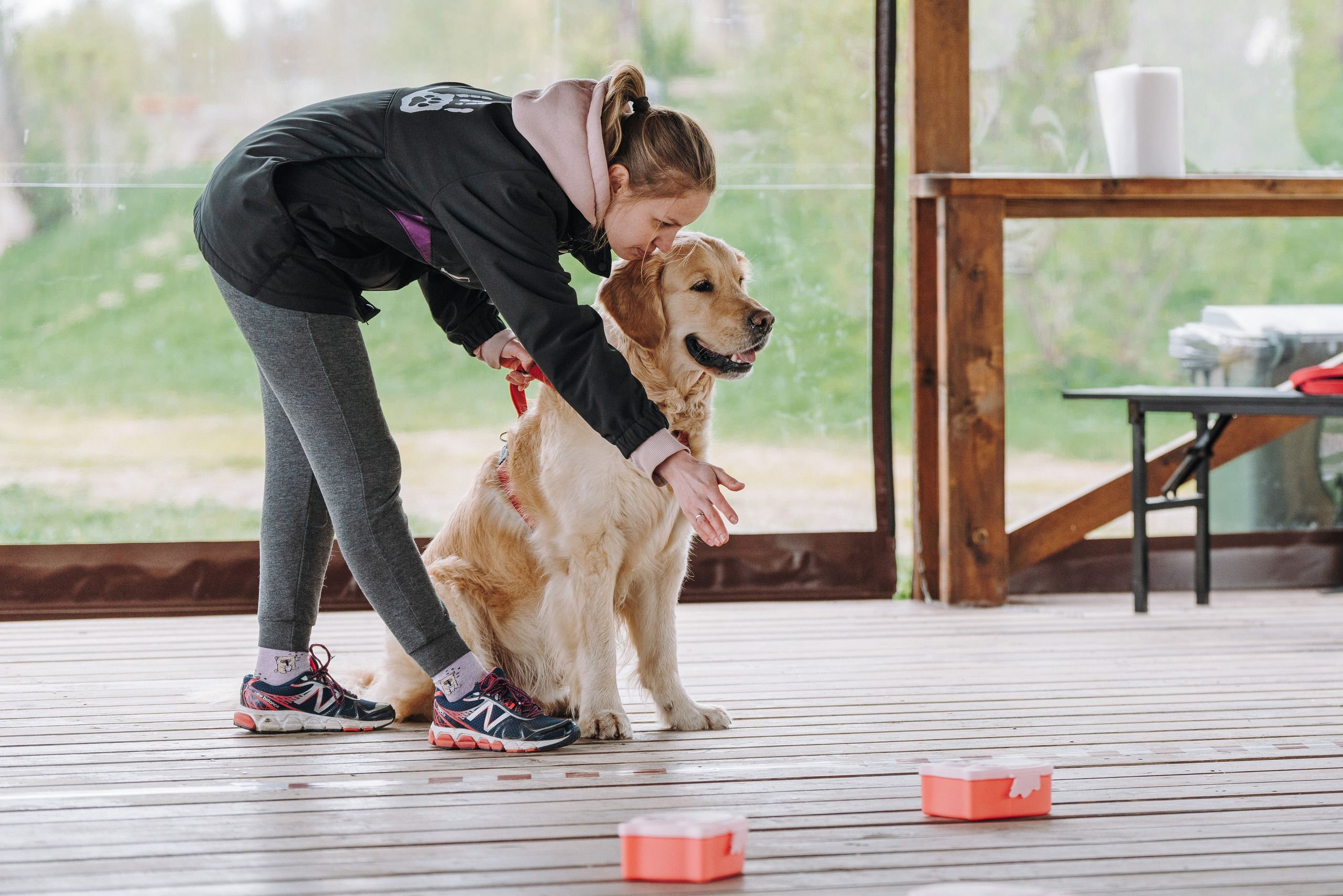 Соревнования по ноузворку в Лосево. Фотограф анималист в Спб недорого Олеся Майорова